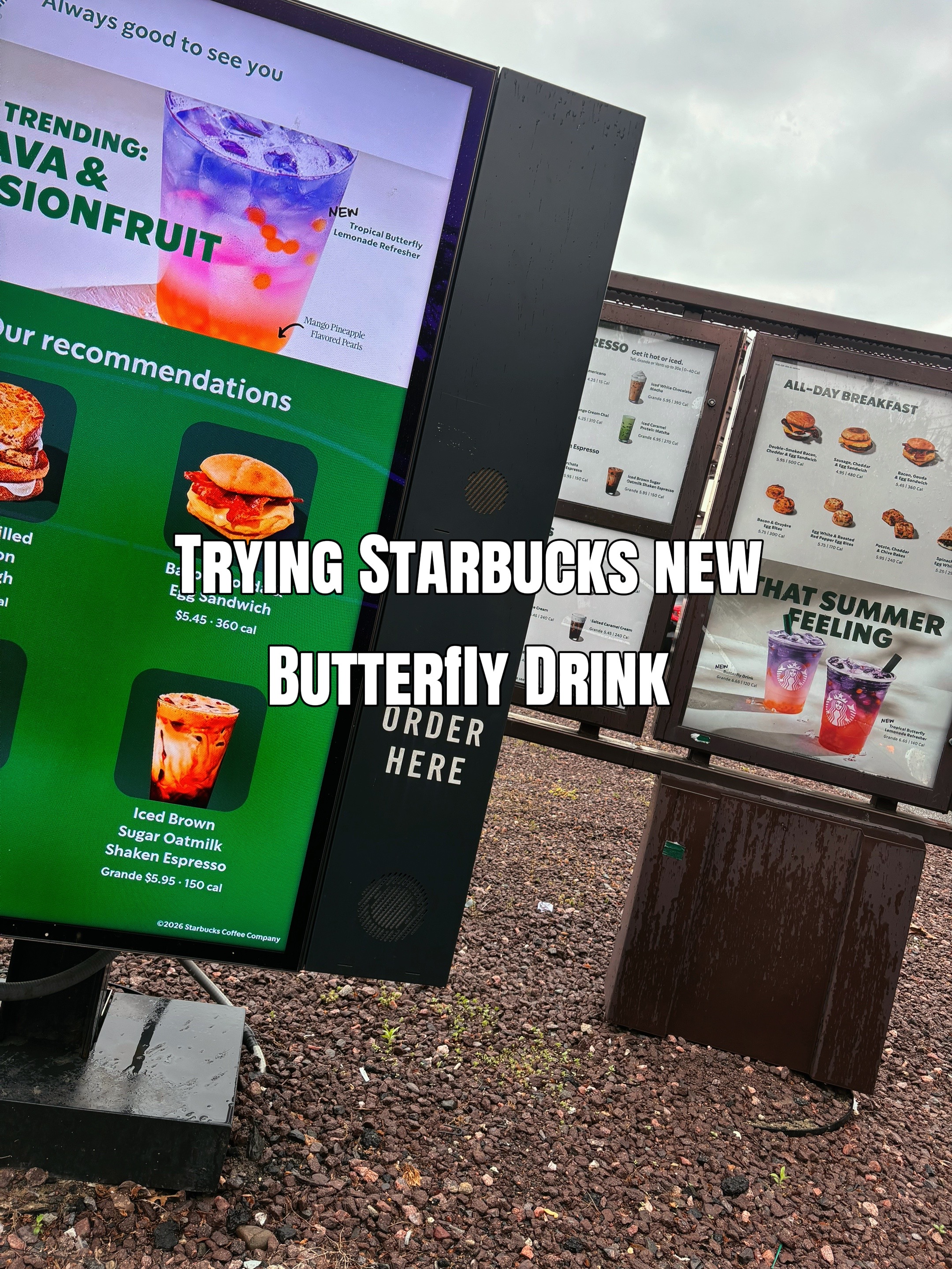 @everyday.bk