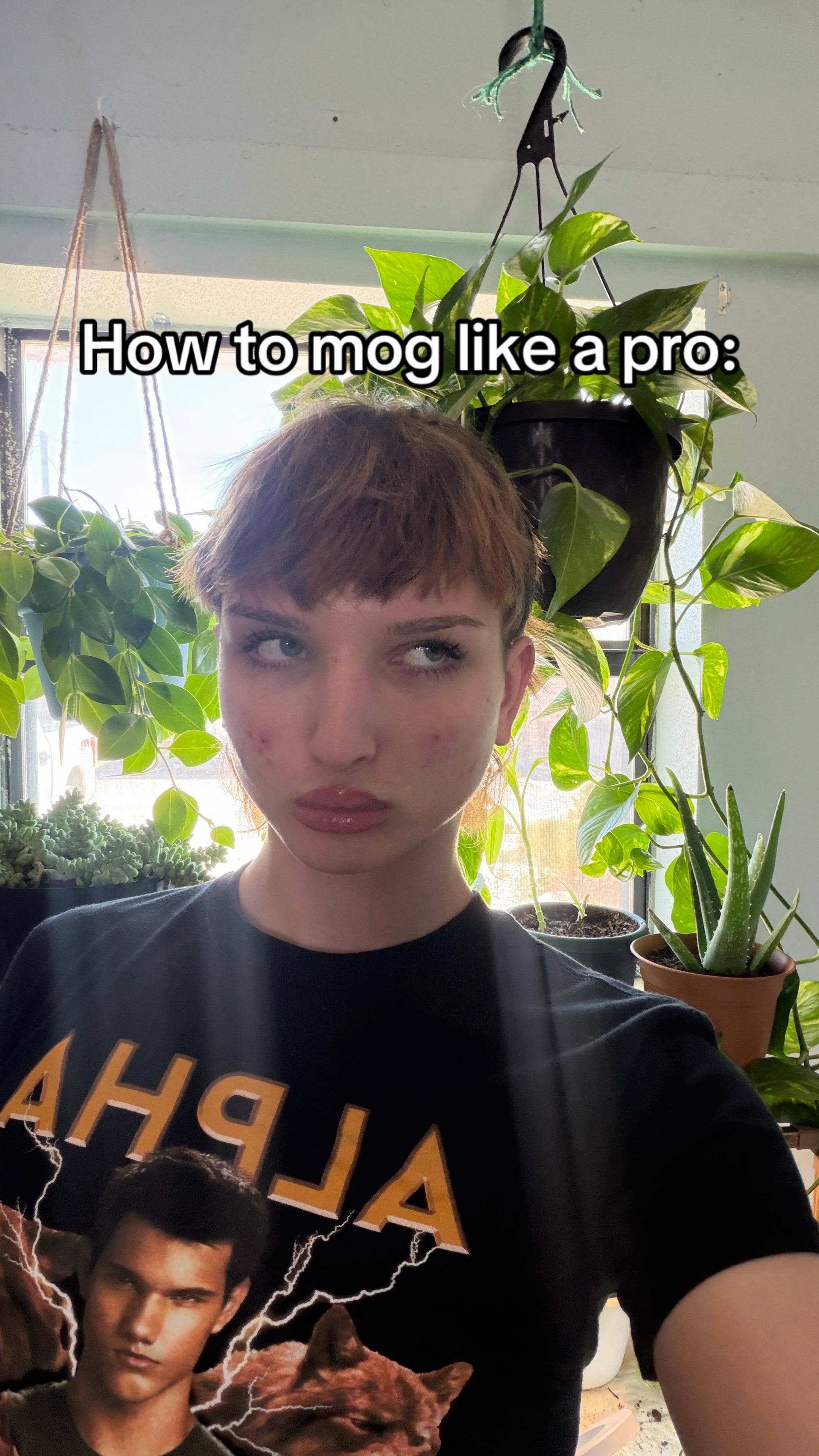 @Prysimdimension
