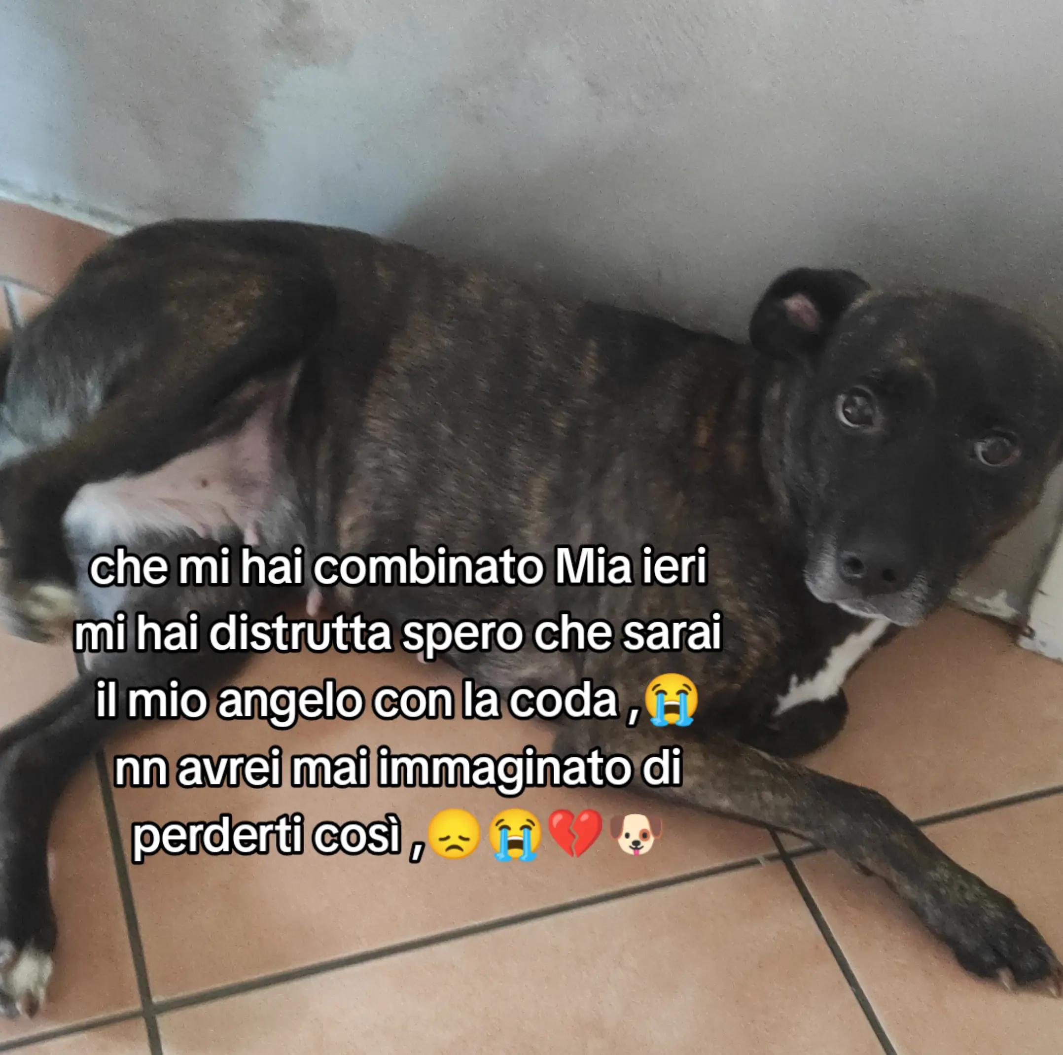 @💥SIMONA💥