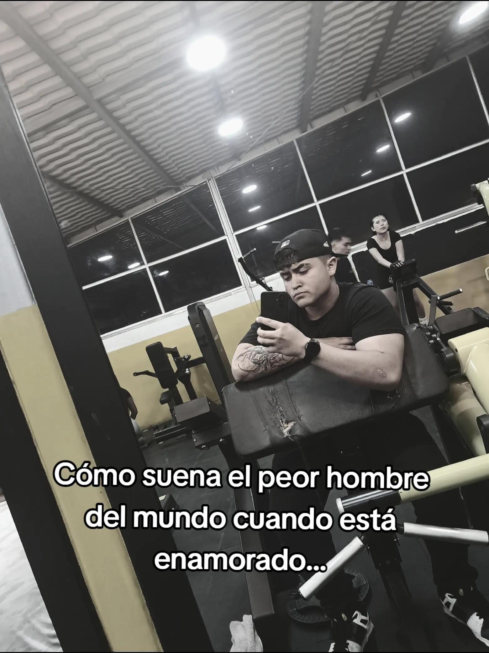@Sebastian 👤 💤
