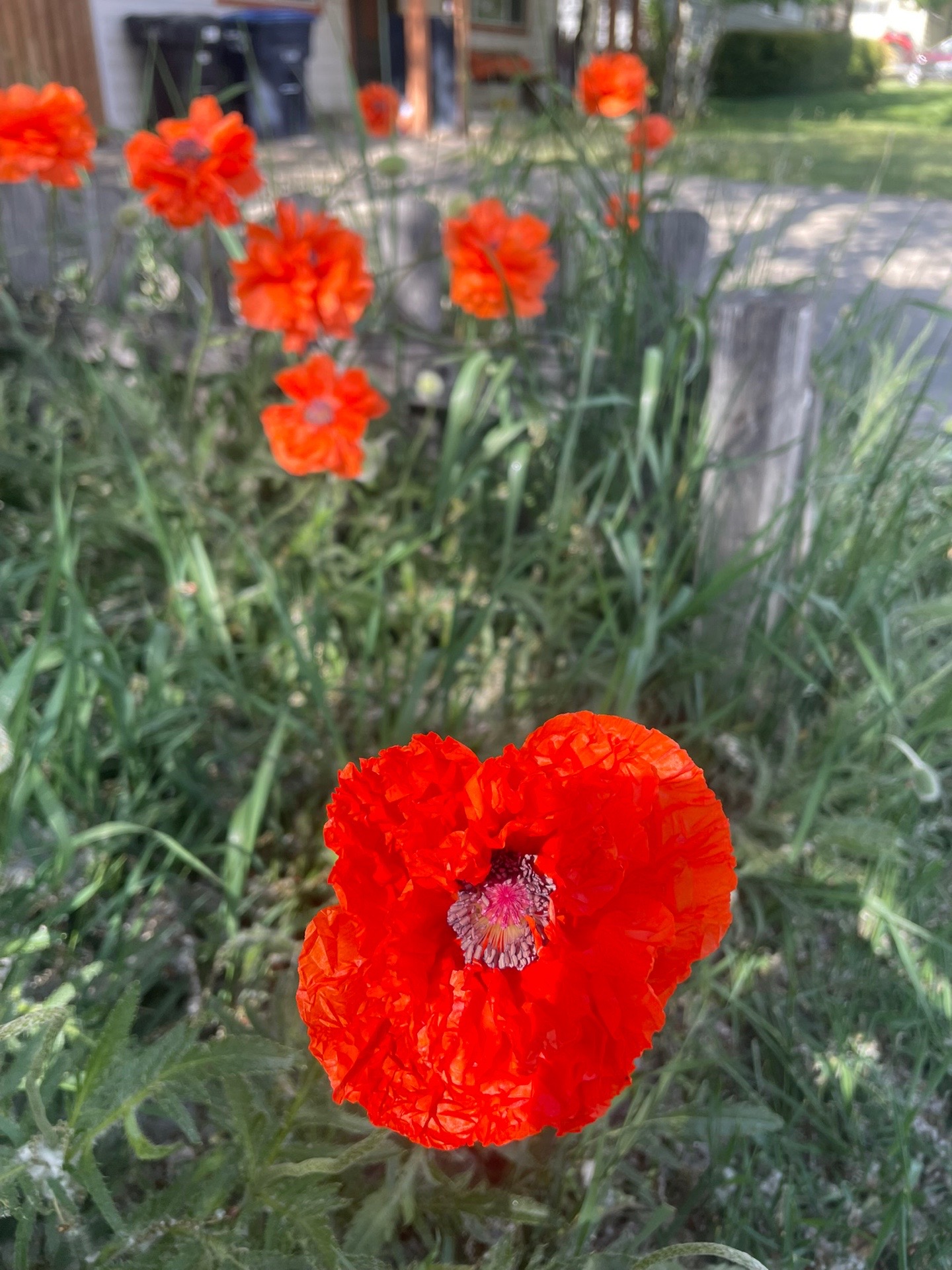 @Asdzáá_Colorado 🌸