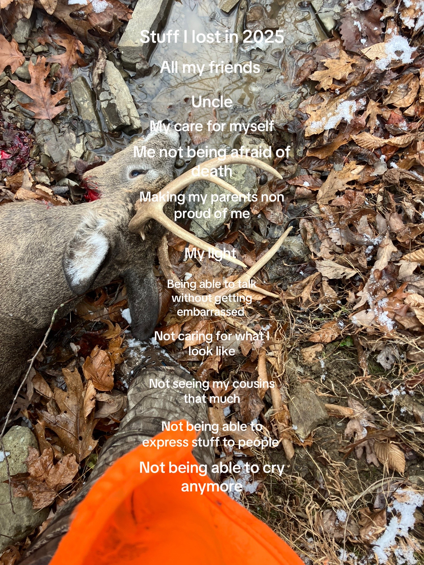 @🦌🦆✝️-Noah-✝️🦆🦌