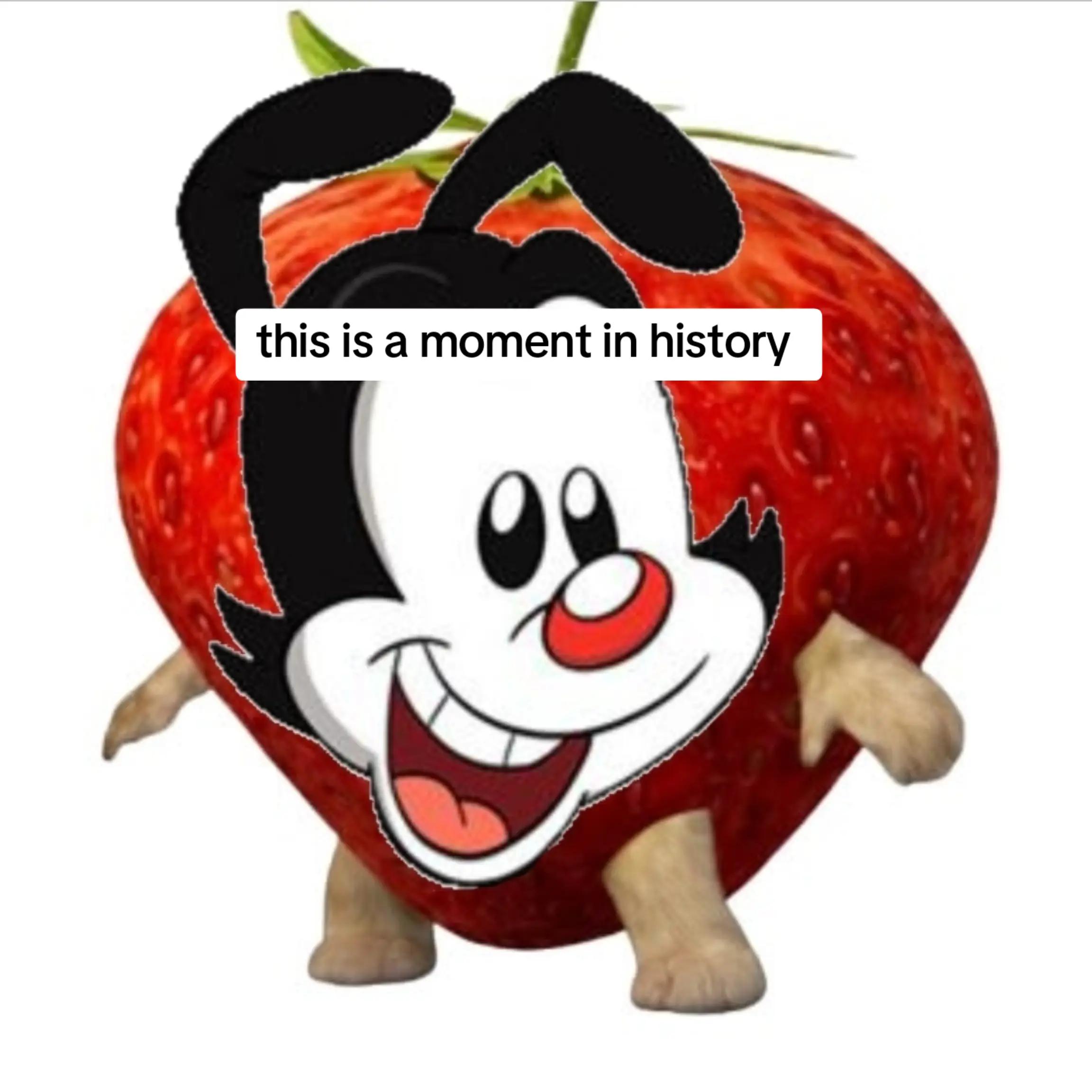 @yakko warner