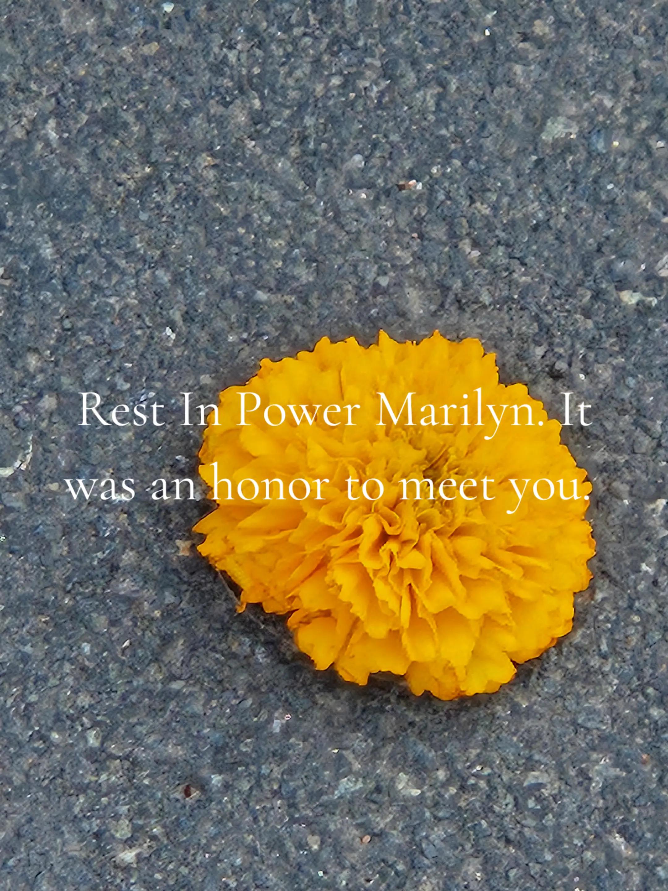 @Krista Harris
