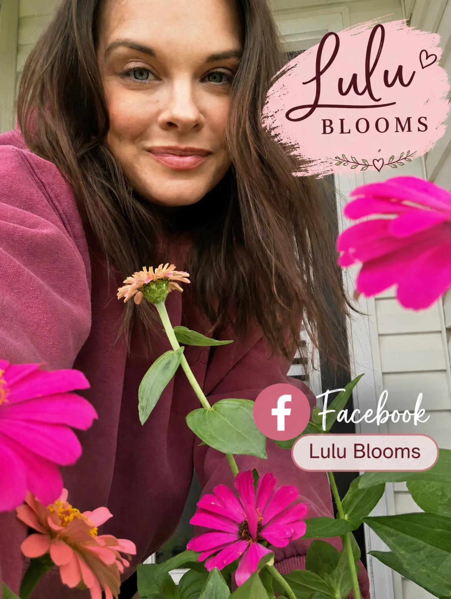 @LuLu
