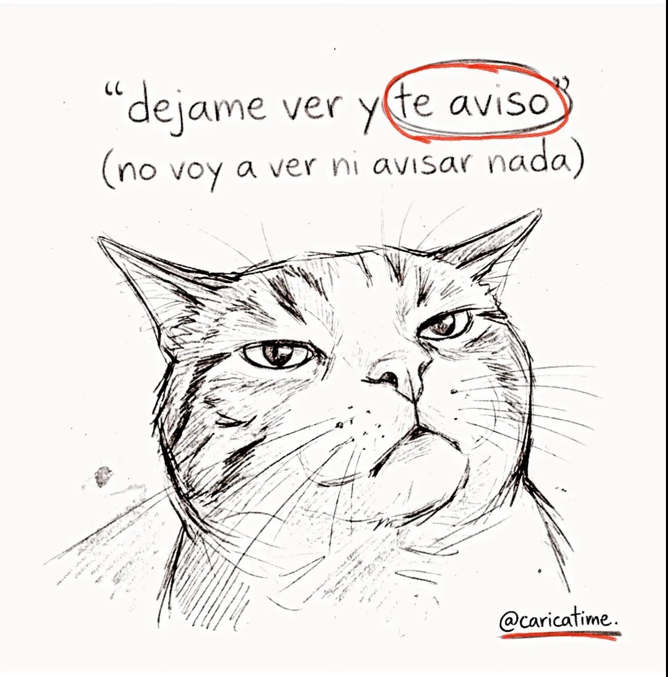 @🖤Butter cup Y🎶