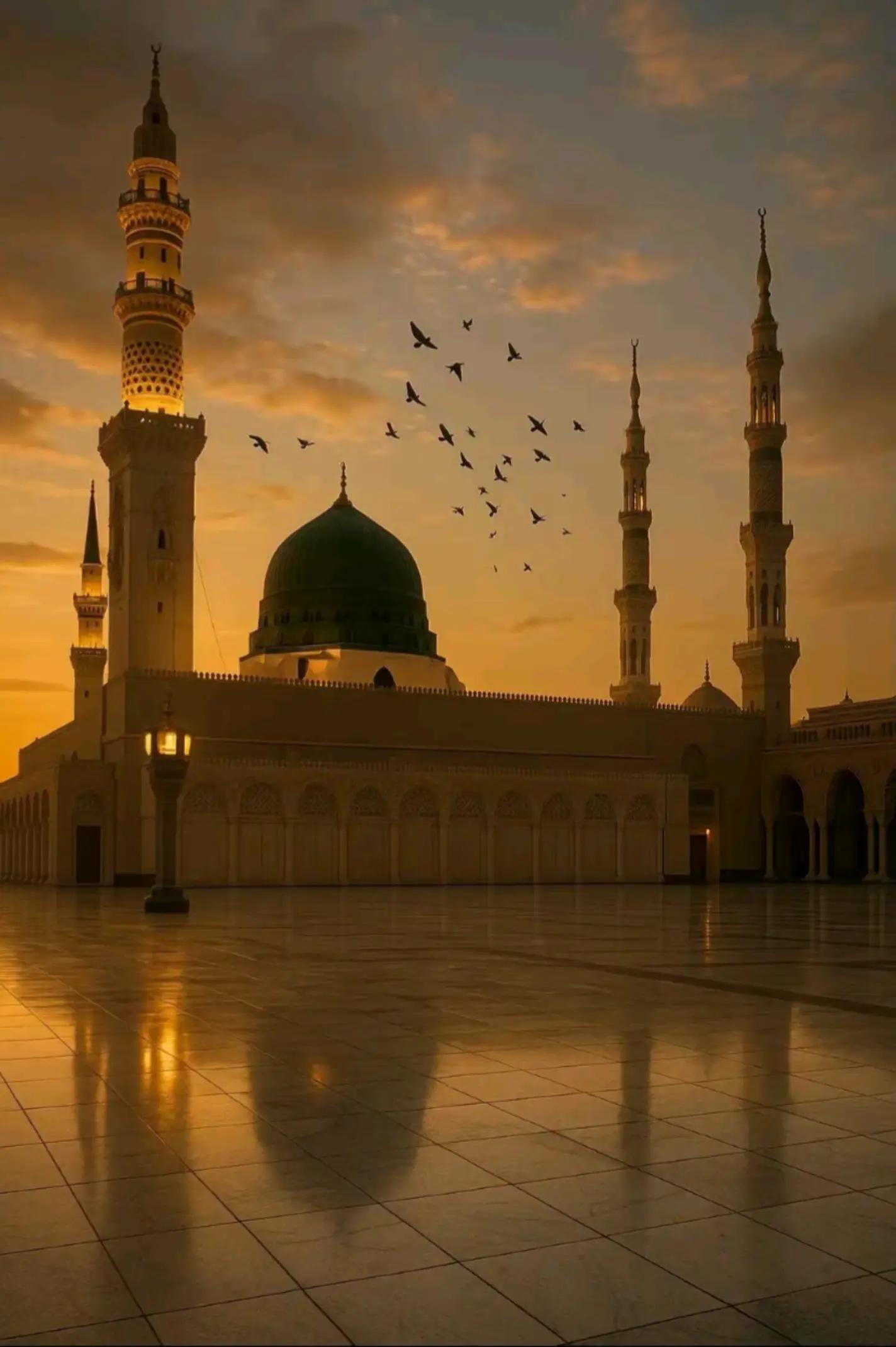 @طحہٰ بادشاہ👑