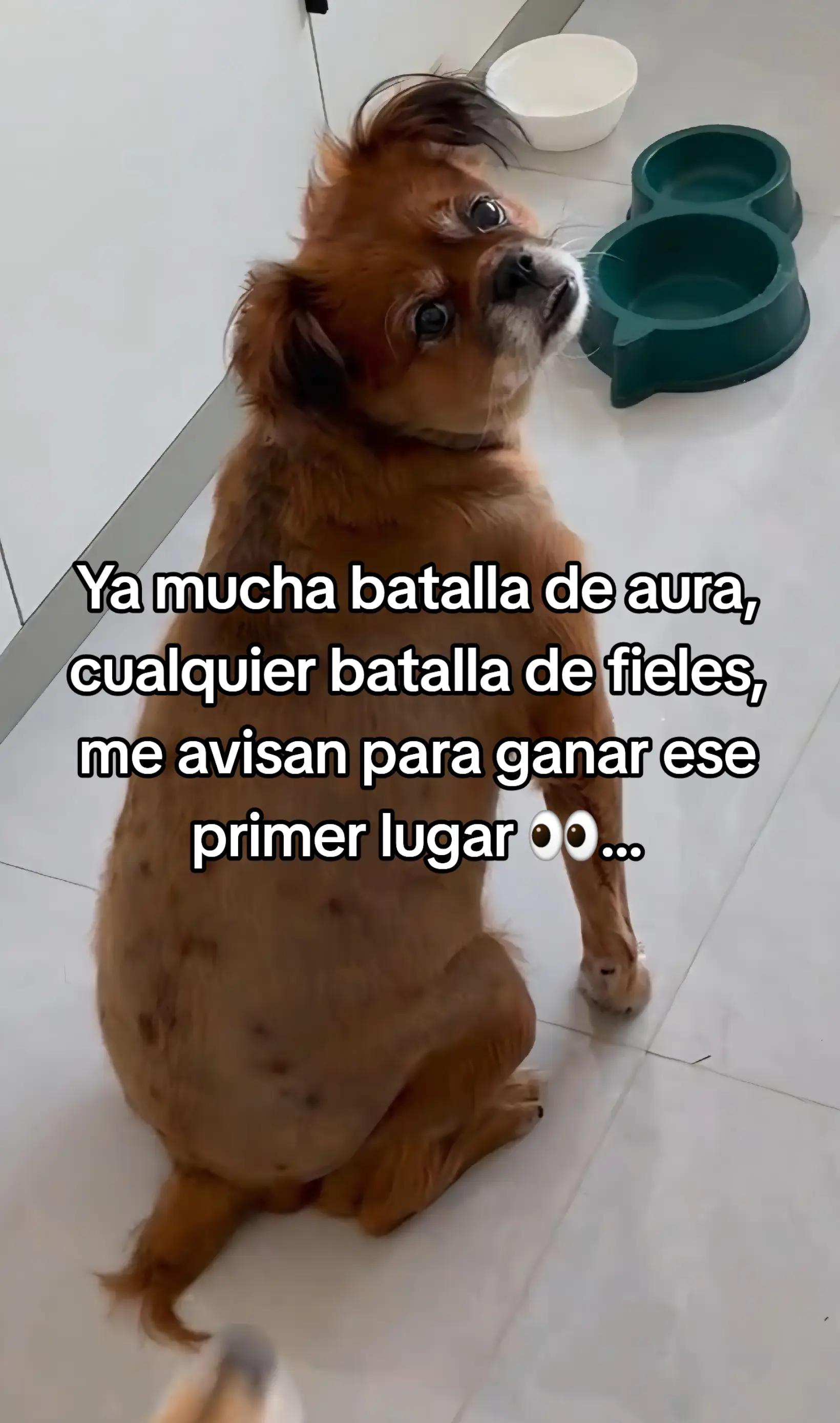 @Omar Vargas