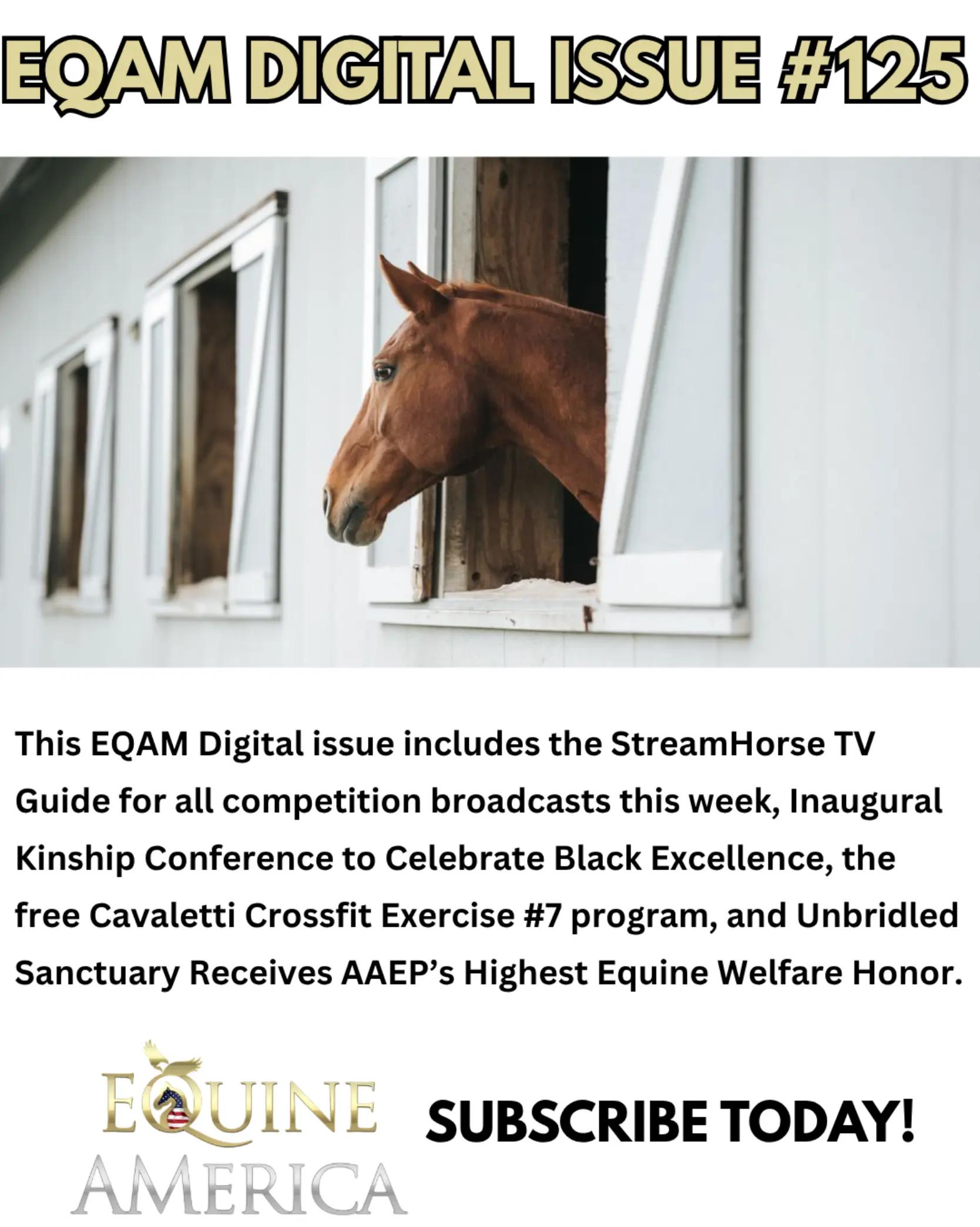 @streamhorse