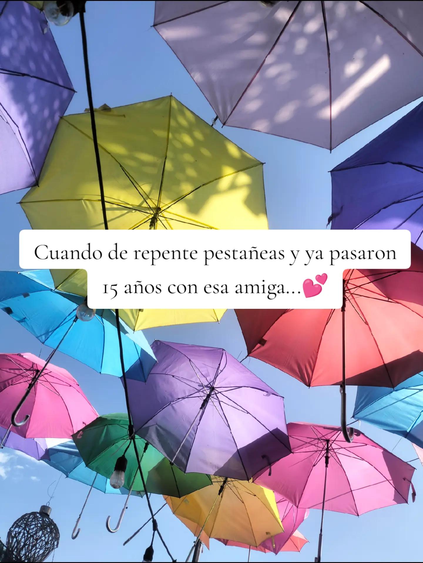 @Gabibv