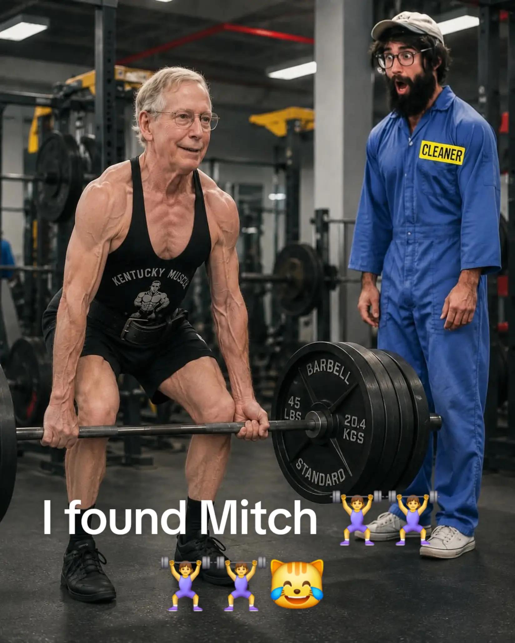 @Ladycat