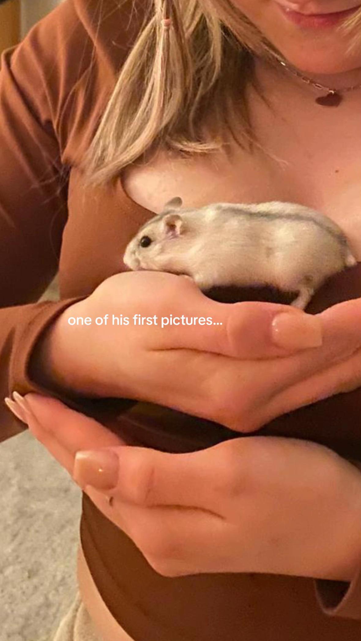 @zoeanoouk