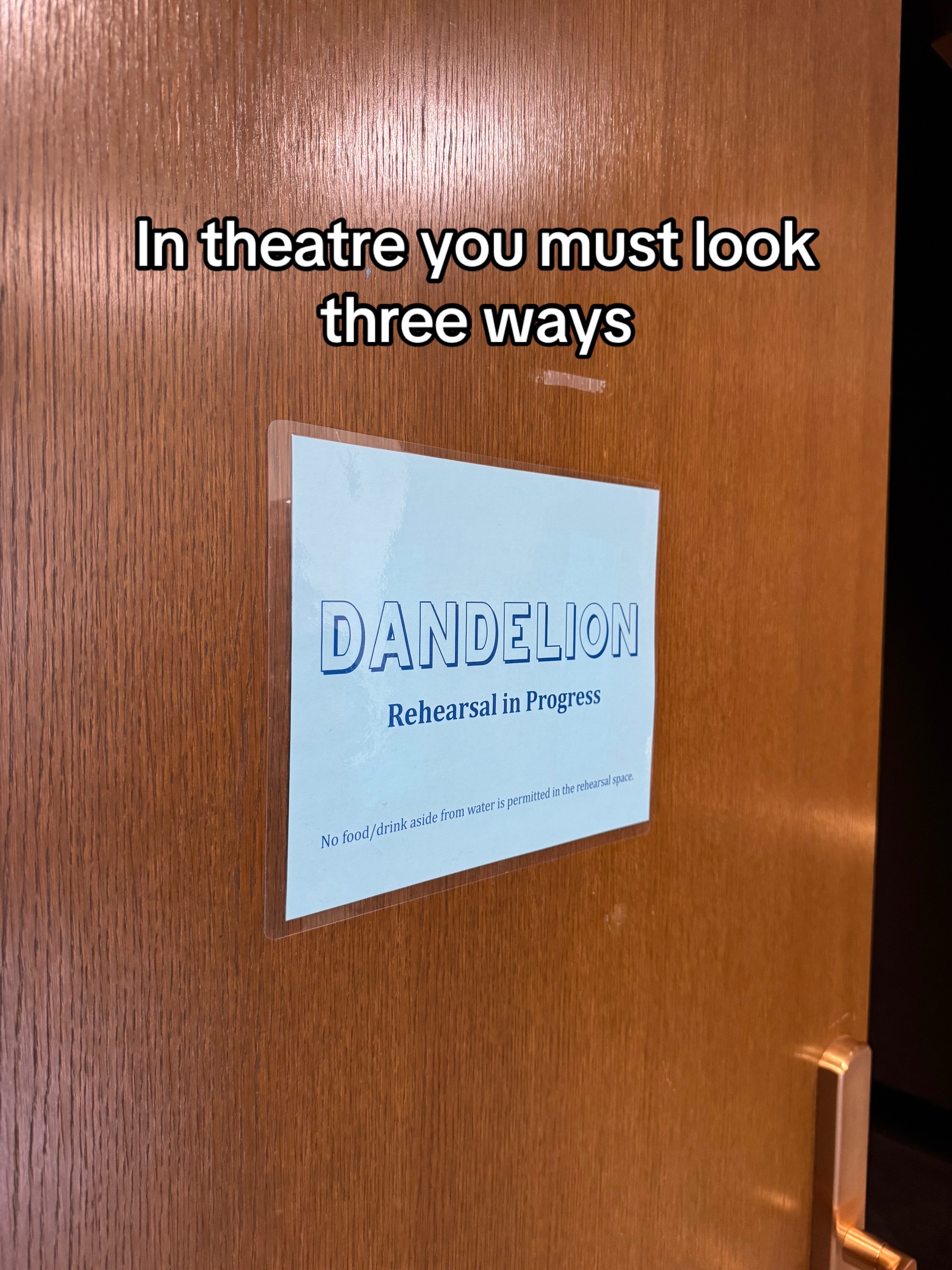 @Dandelion: An Original Musical