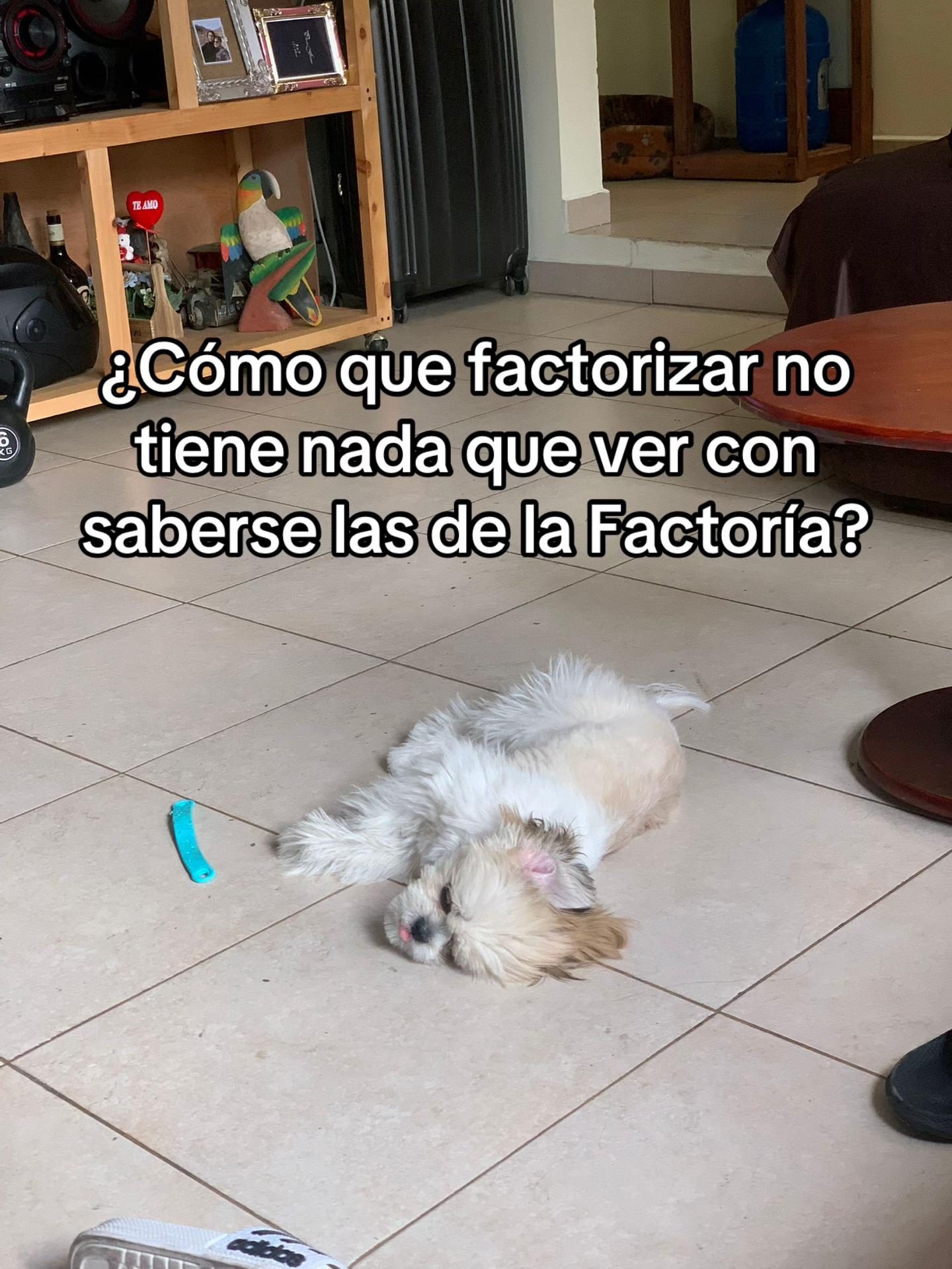 @Juss Calderón