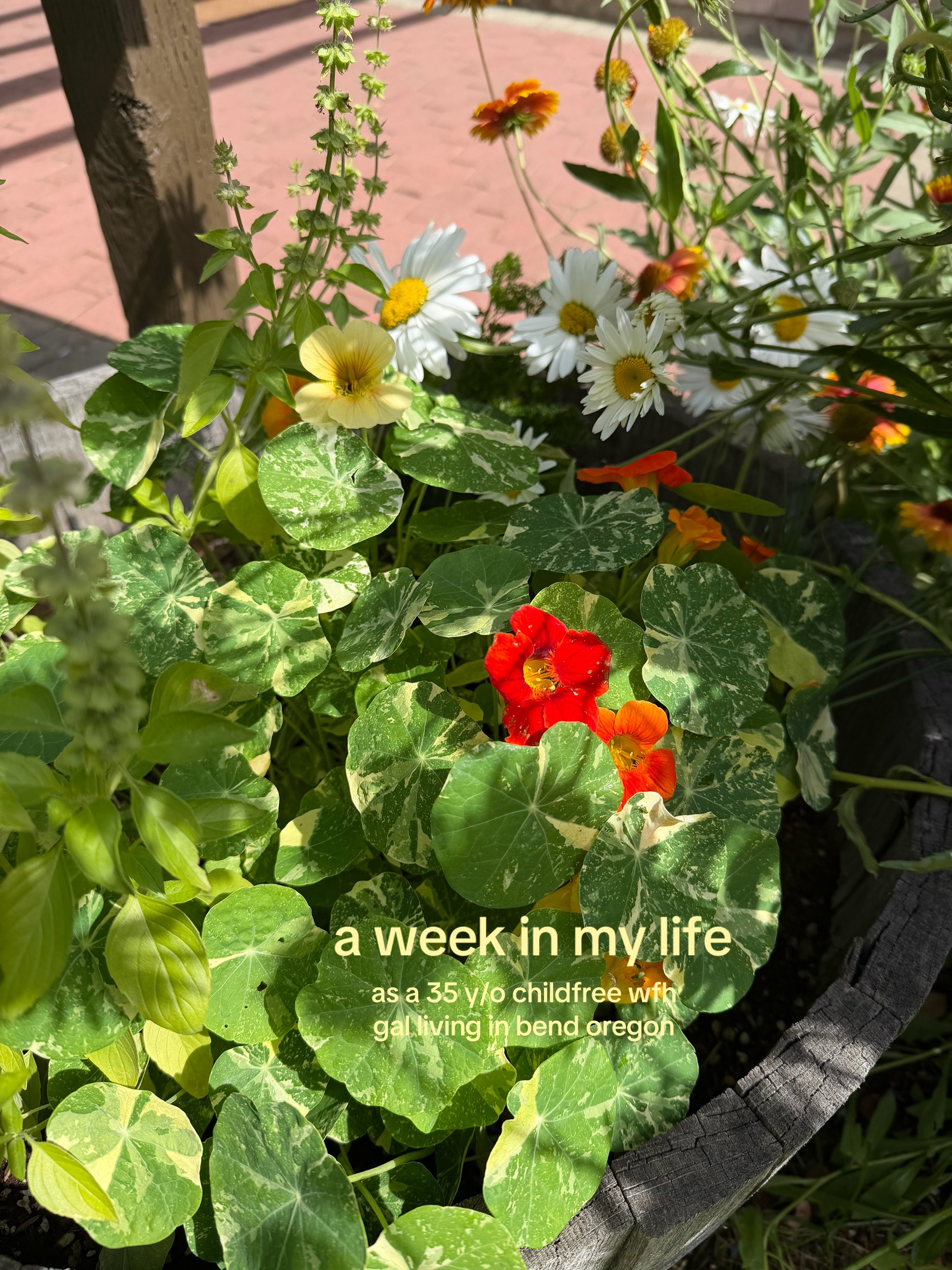 @Jade | Travel & Wellness