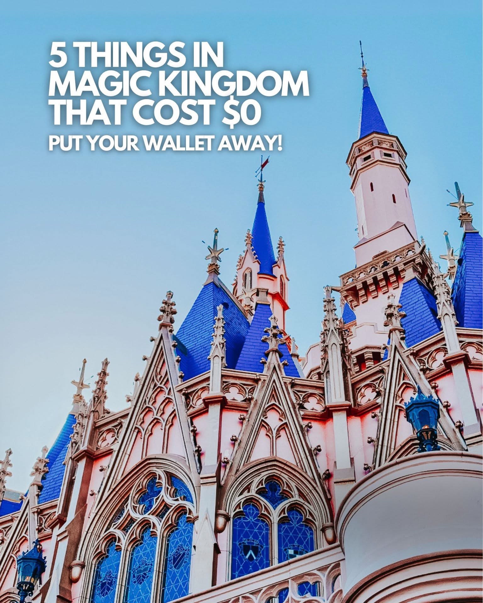 @Disney Trip&Tips With Tiny