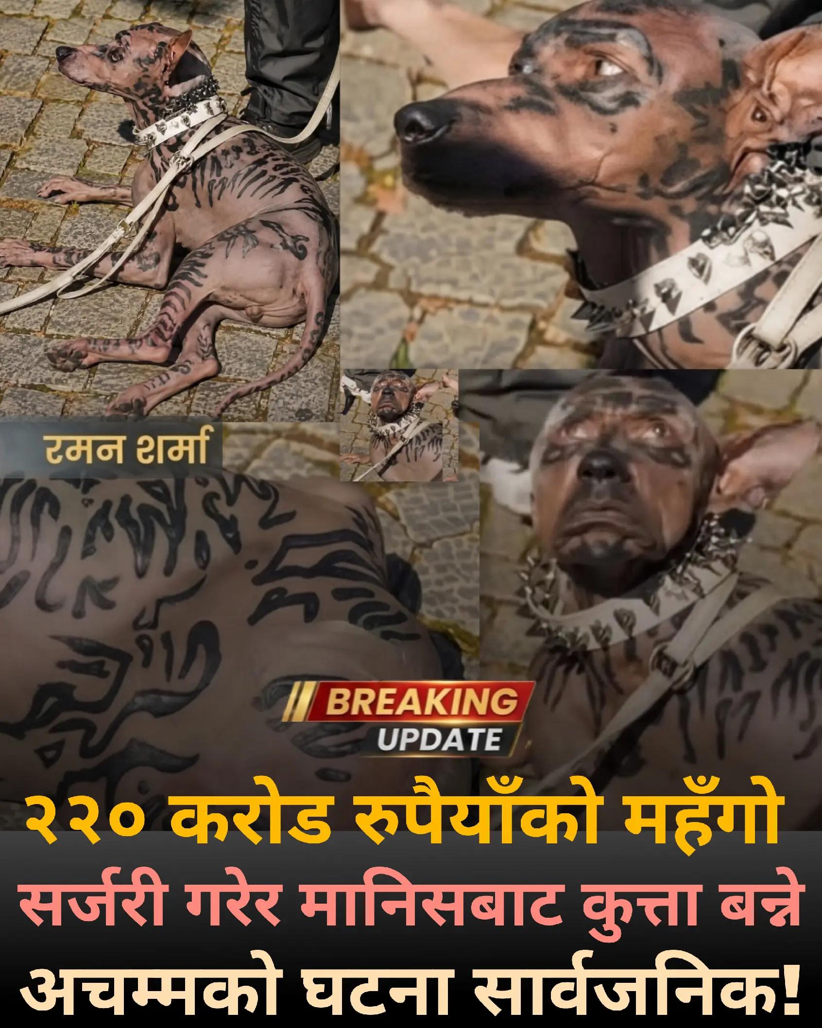 @Raman Sharma