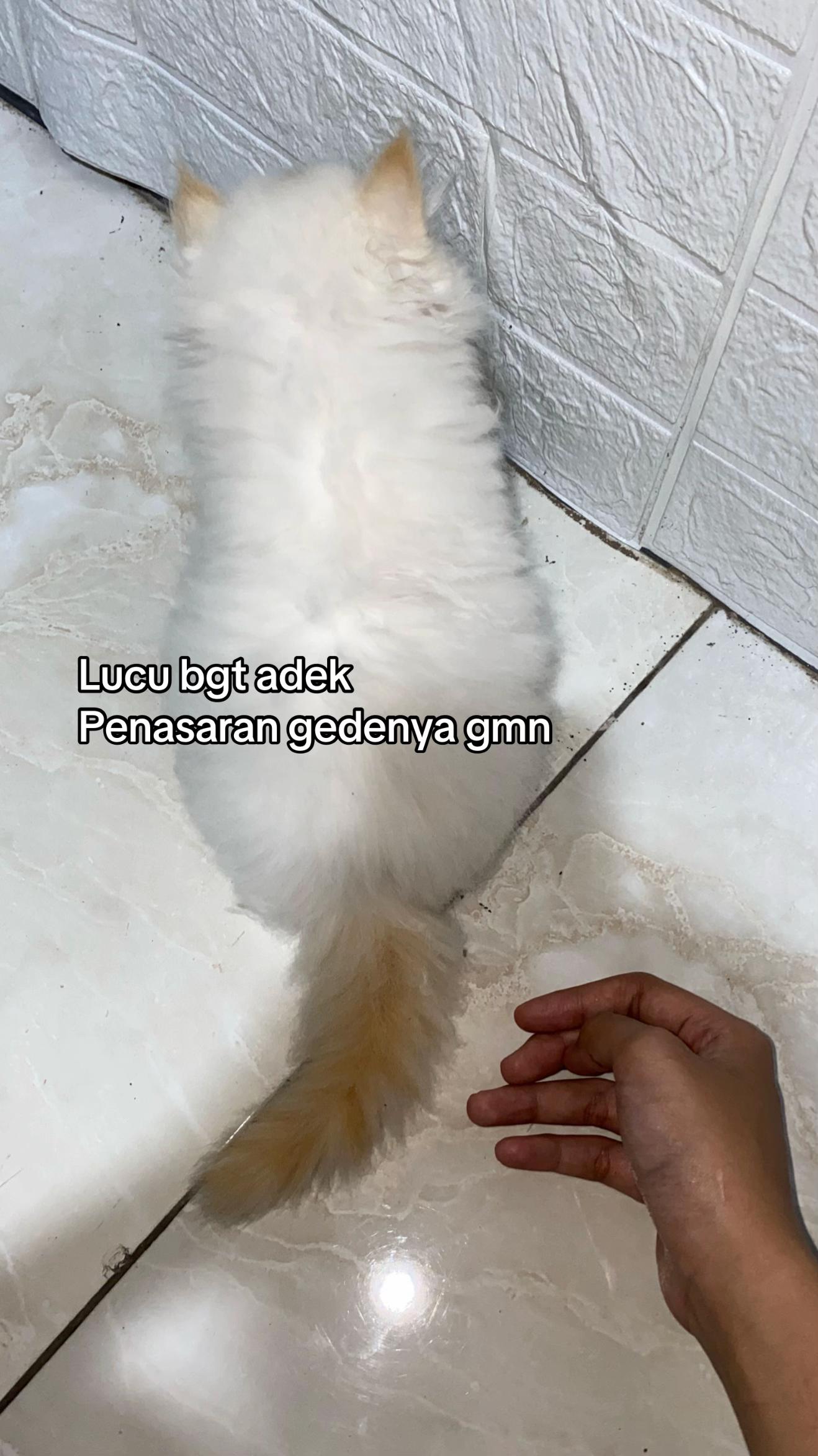 @F