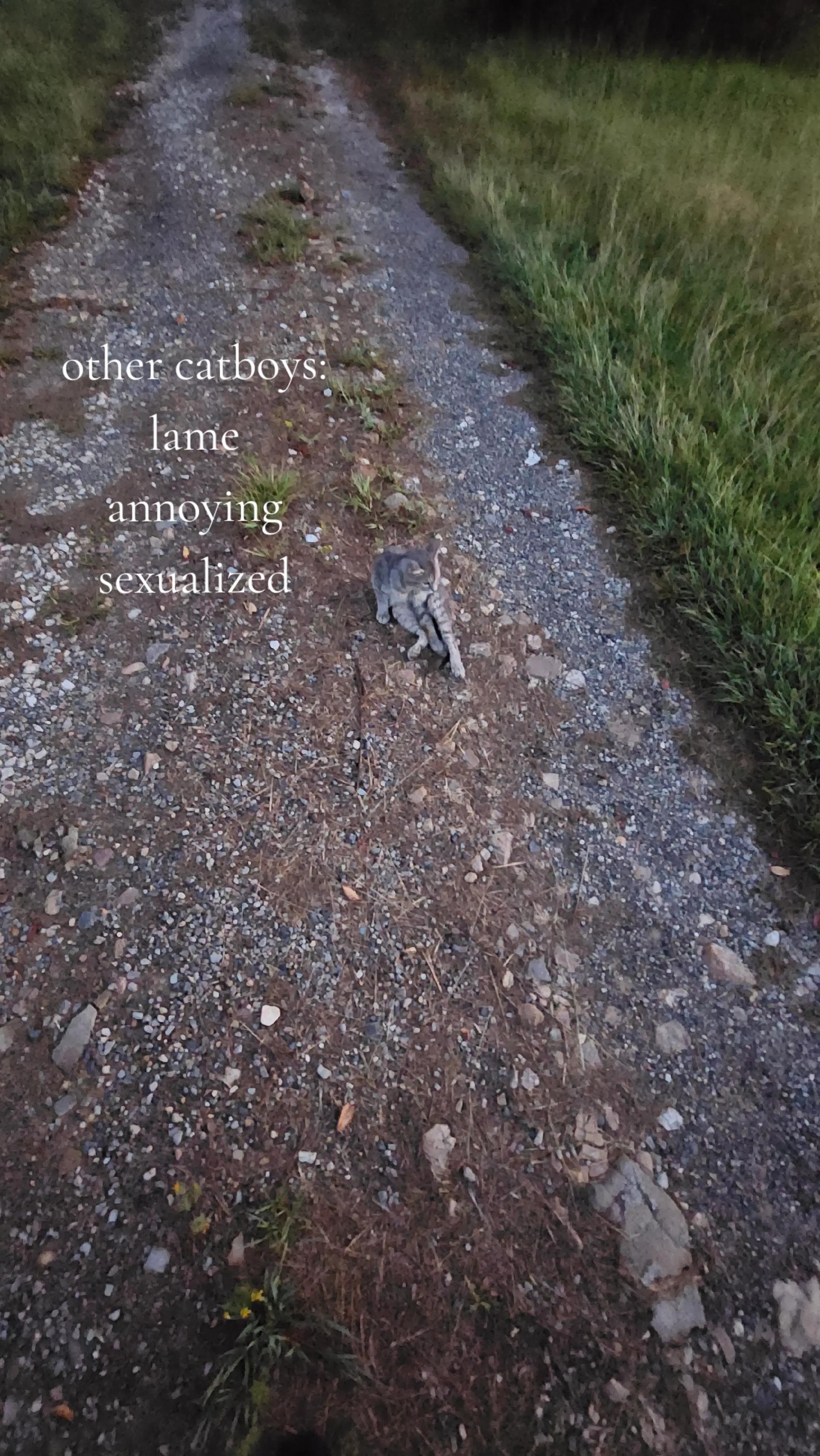 @𝐵𝑒𝑙𝑙𝑠🐾