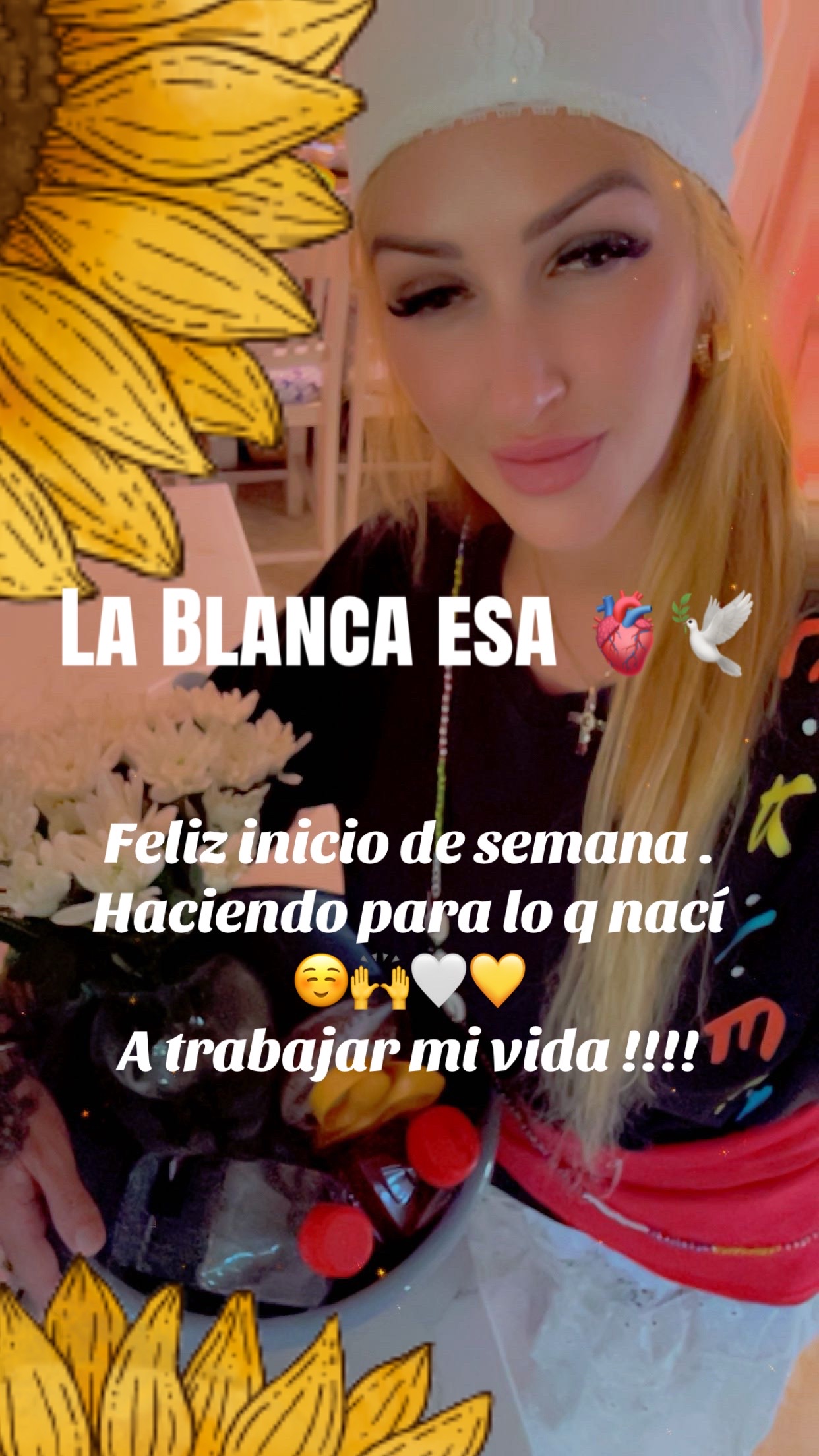 @Lacasadeeggun🤍🖤