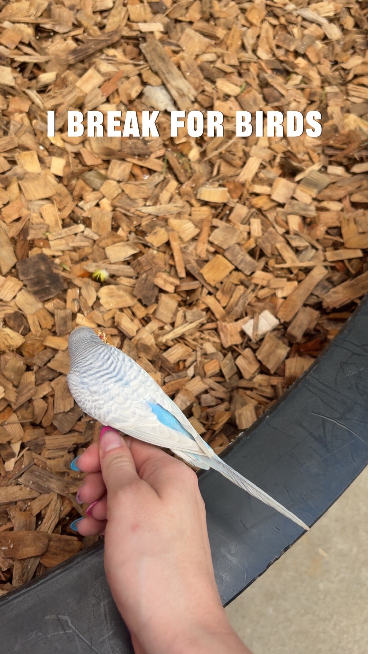 @Ashlyn!