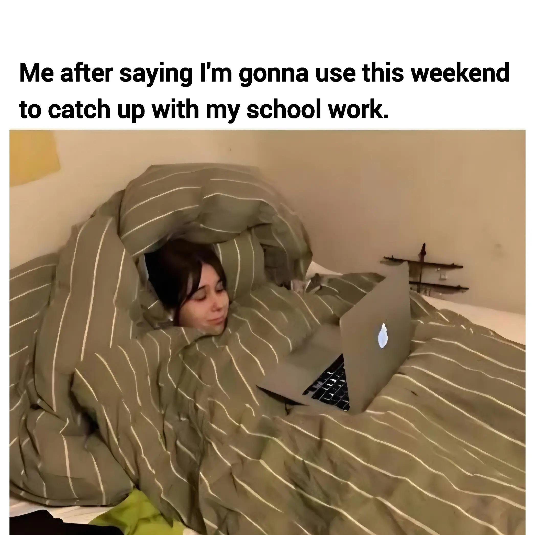 @Your College Helper