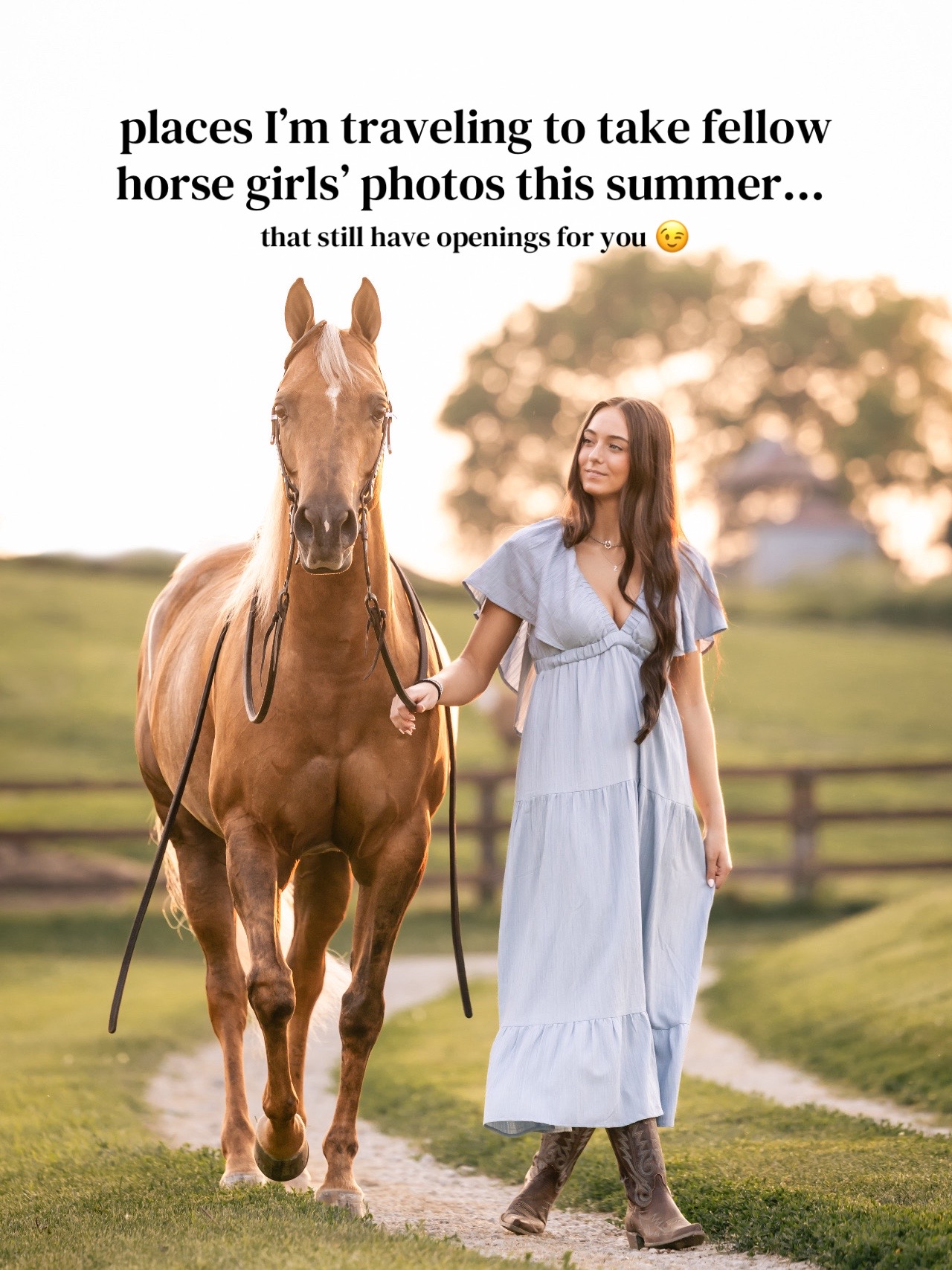@Tisha 📸🦄 Equestrian Photog