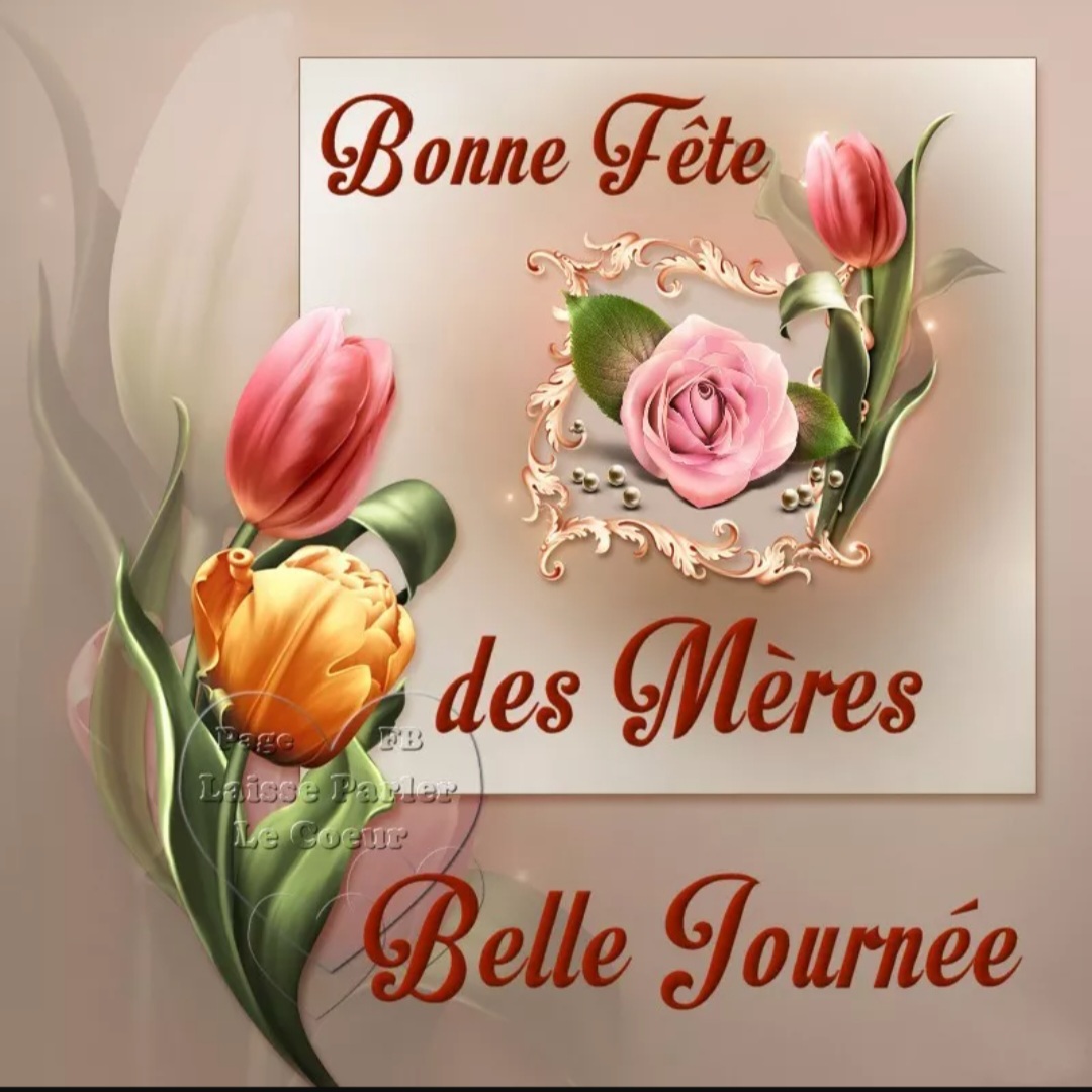 @Viviane Savry Bellis'immo