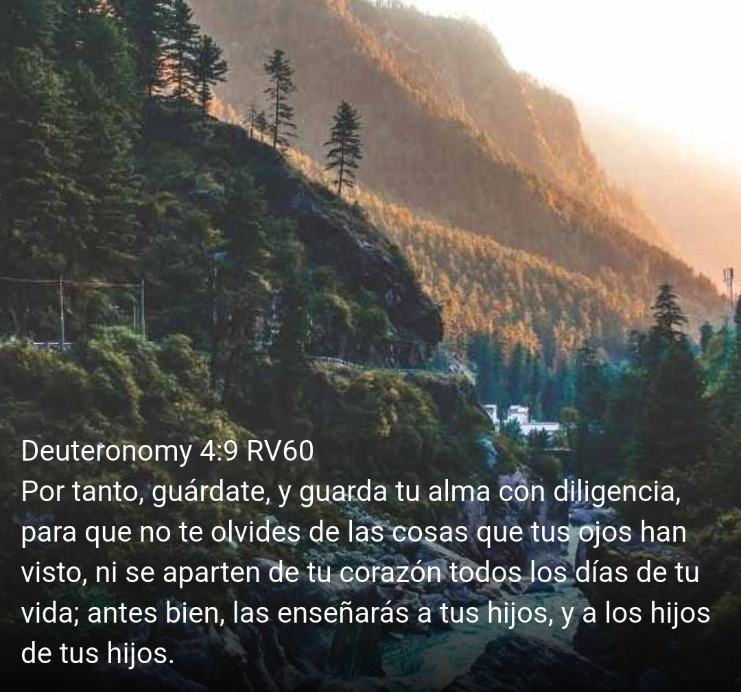 @MarceCamp💕