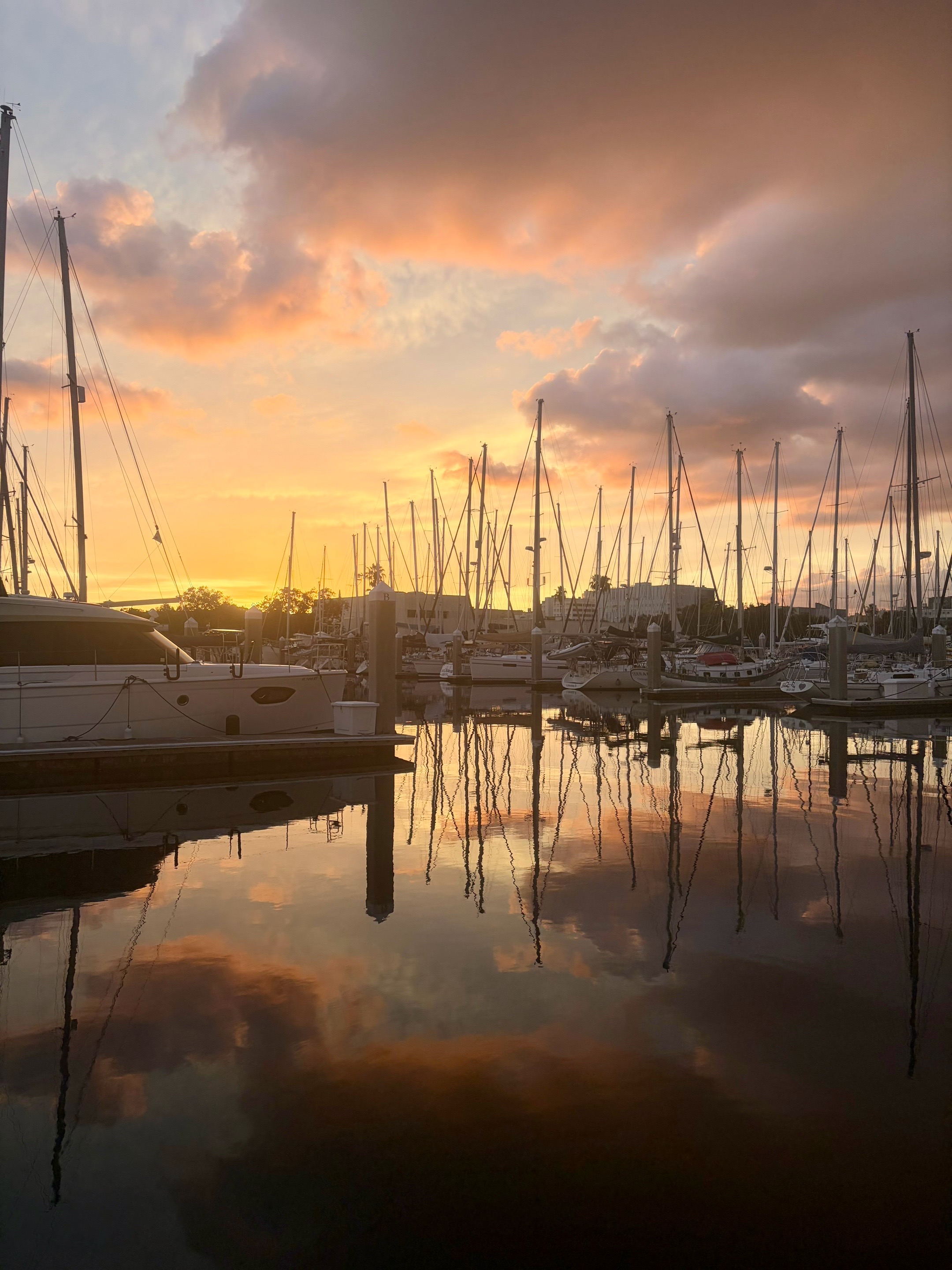 @Sailing the Pawsibilities