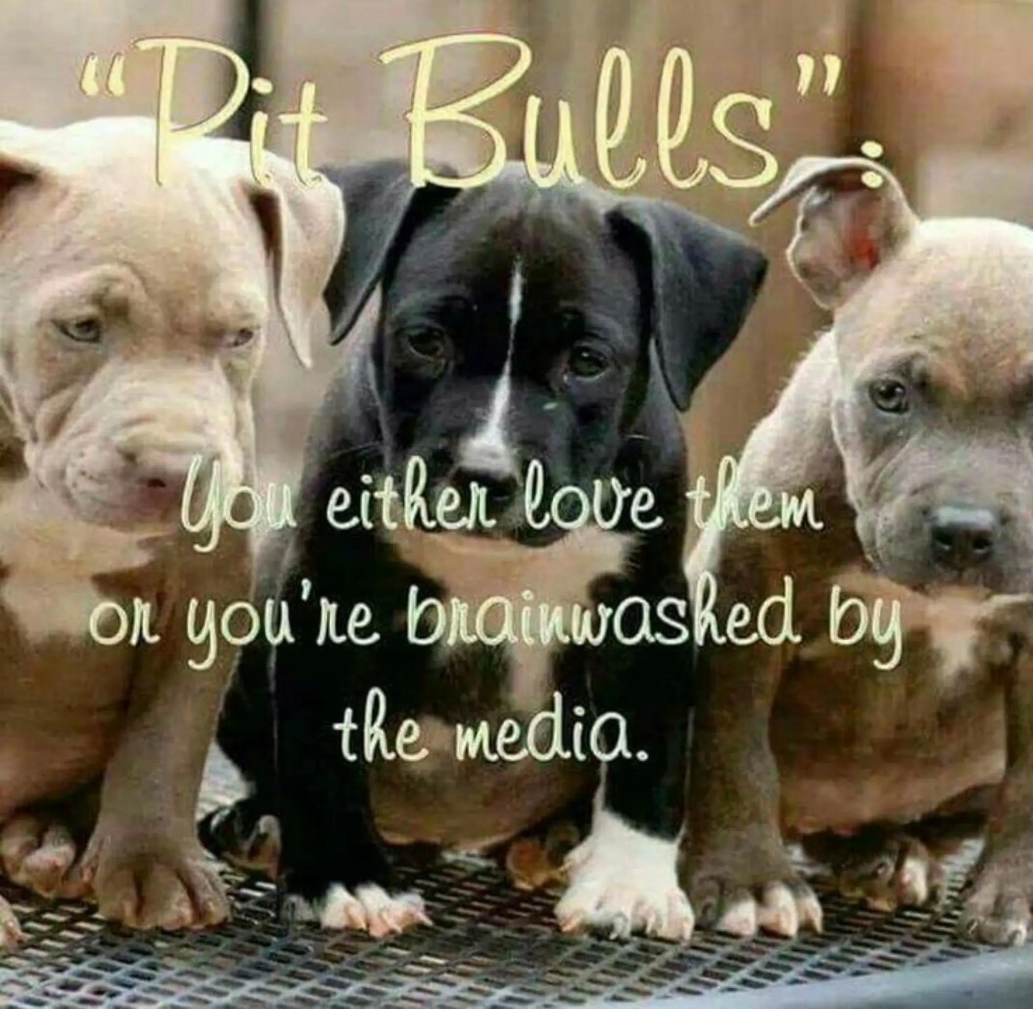 @Metalmomof4sonz