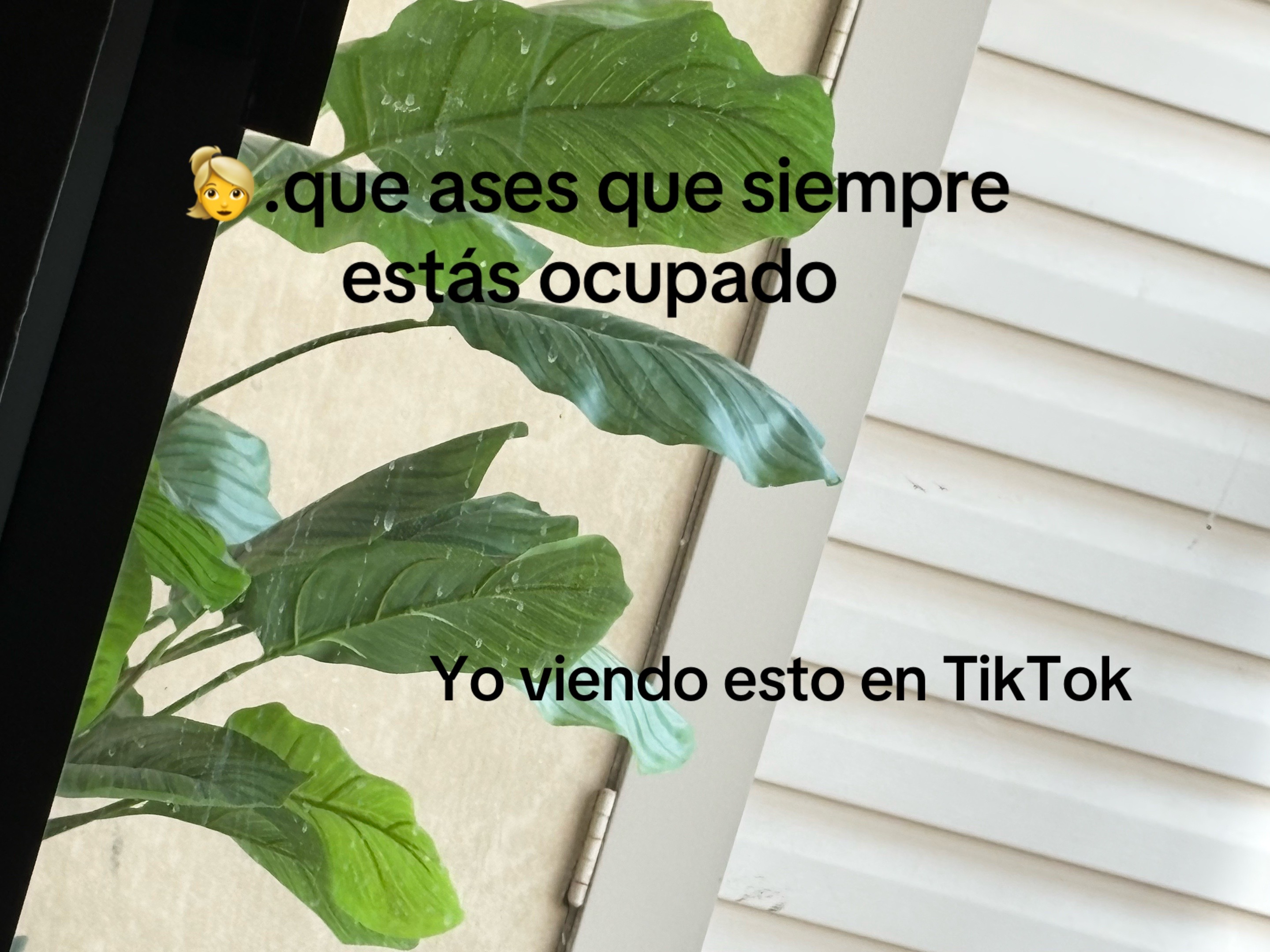 @Elcubanitivr
