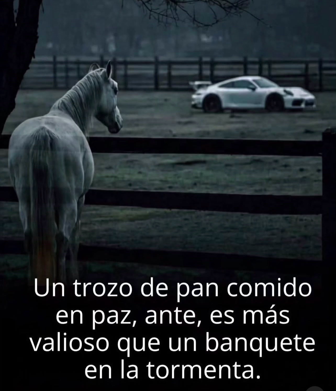 @Glenis