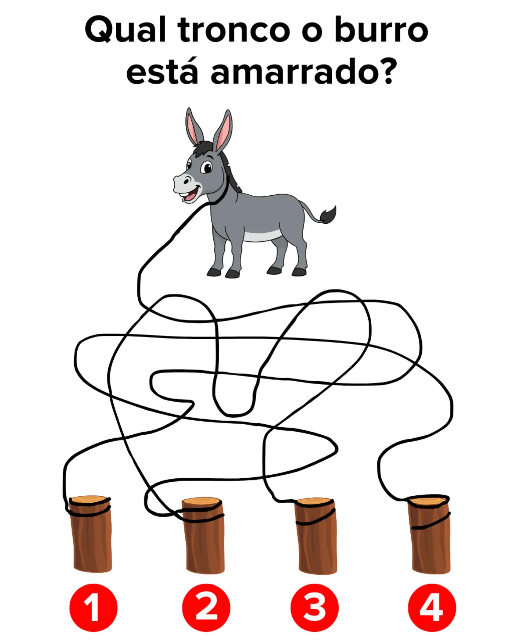 @Quiz R&aacute;pido