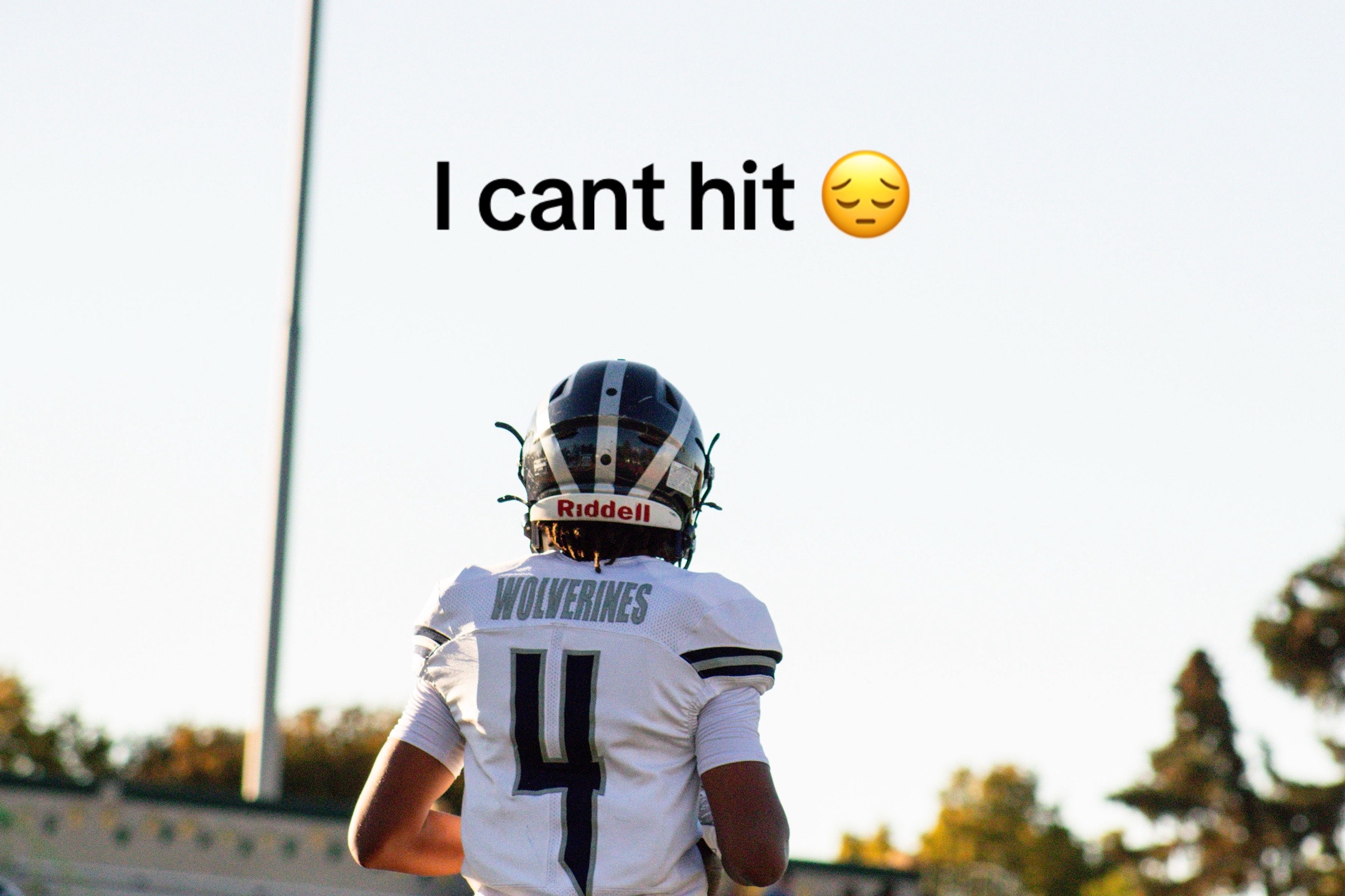 @801dax
