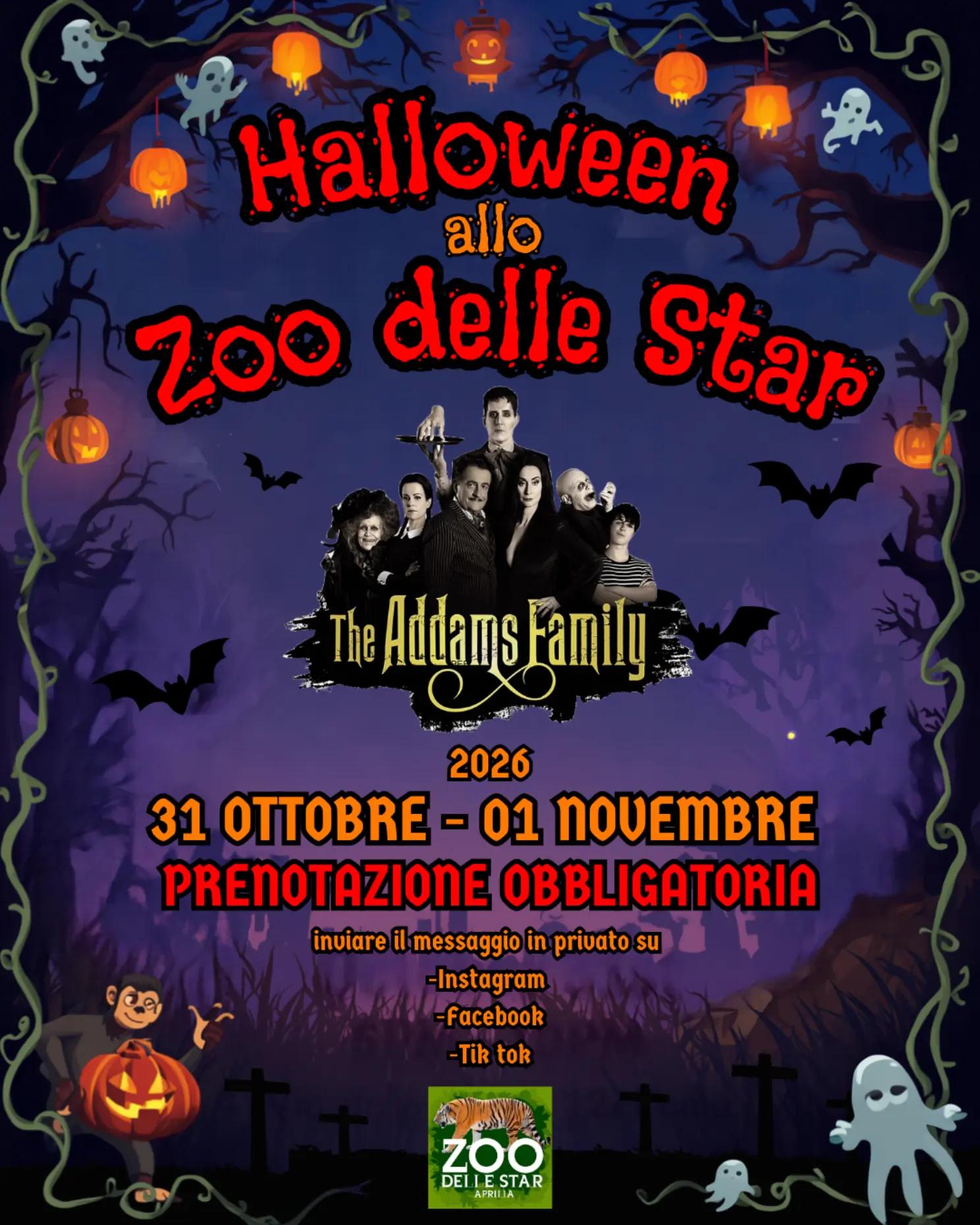 @Parco Zoo delle Star