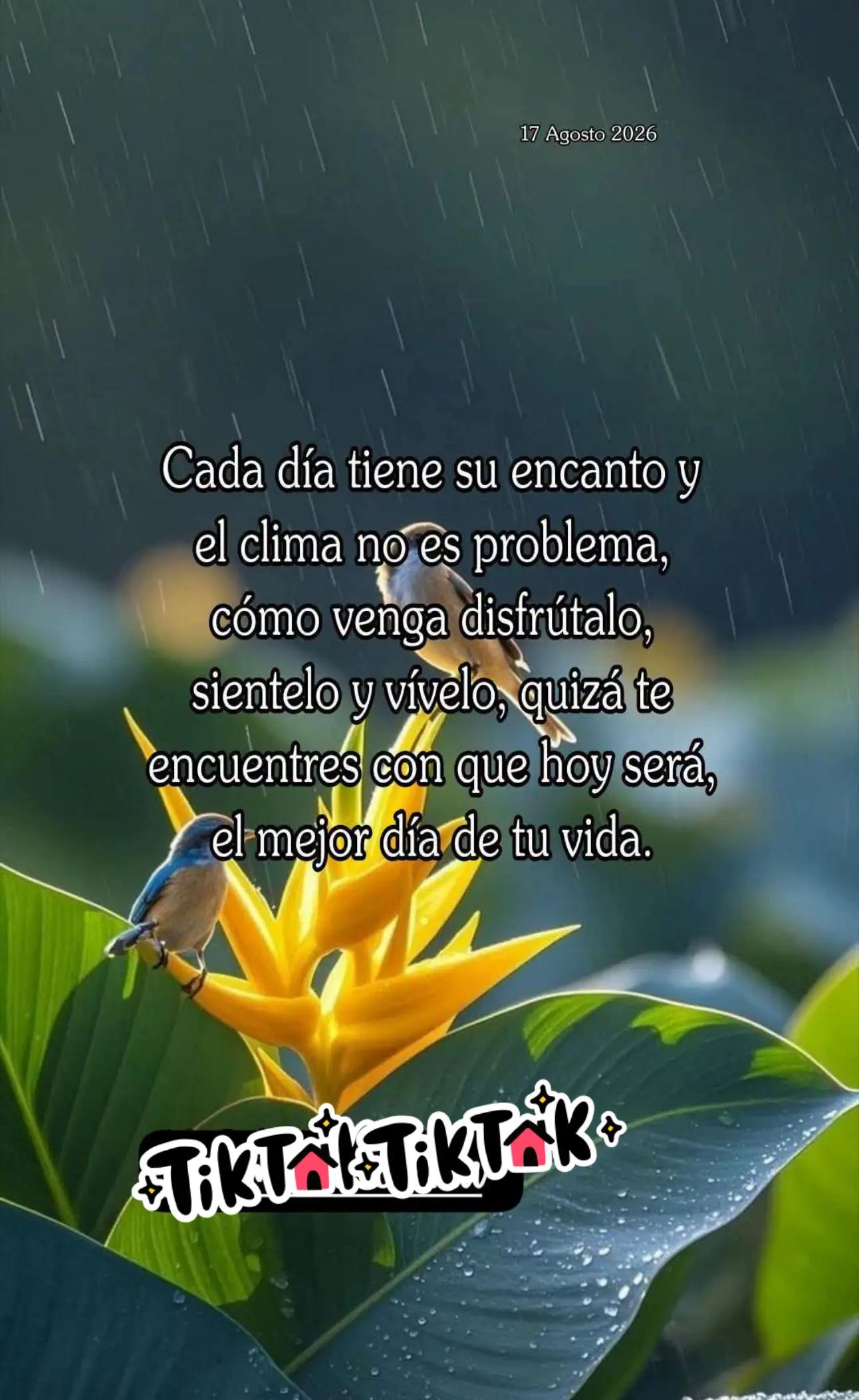 @clararabadan292