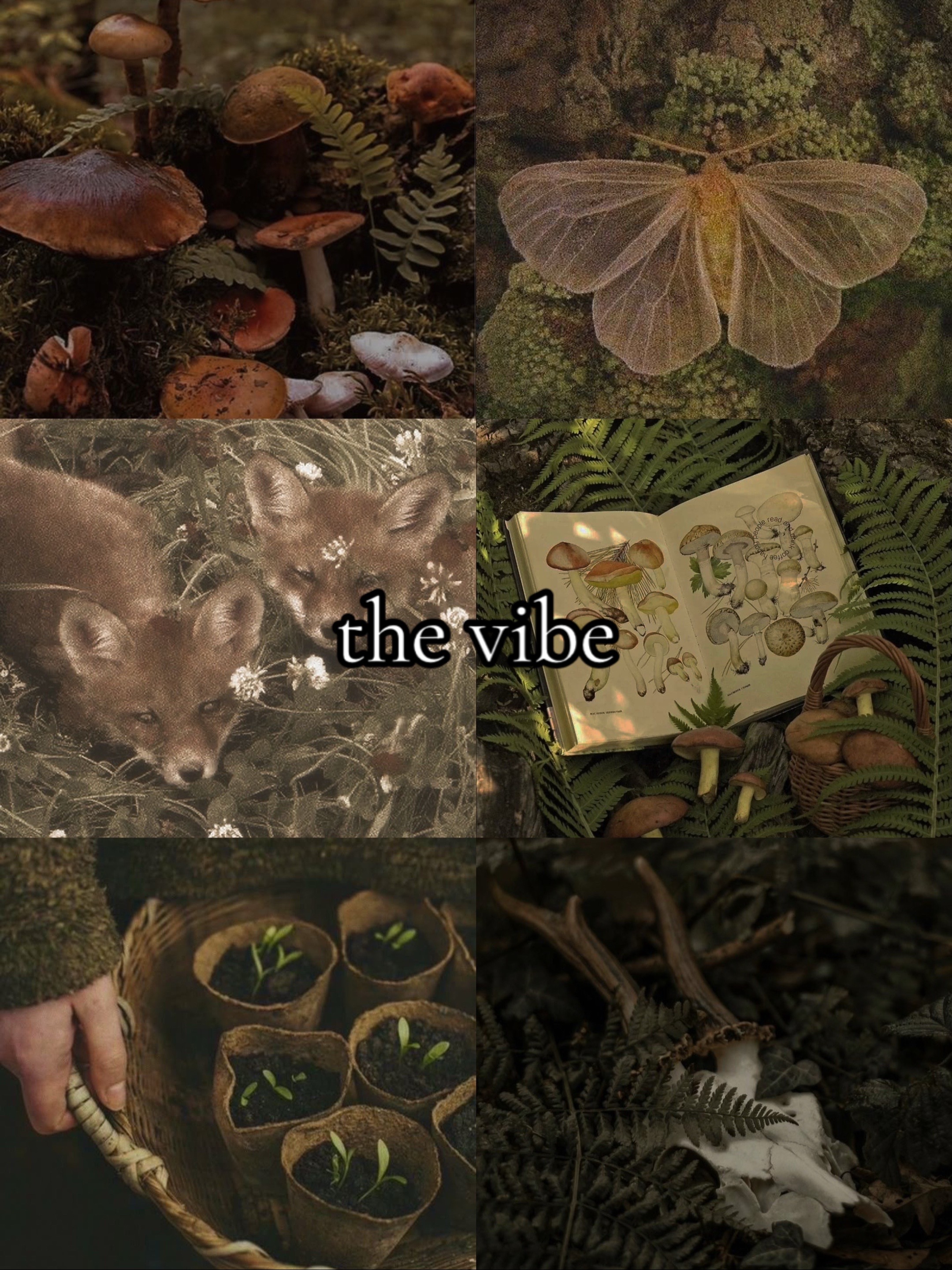 @niflheim