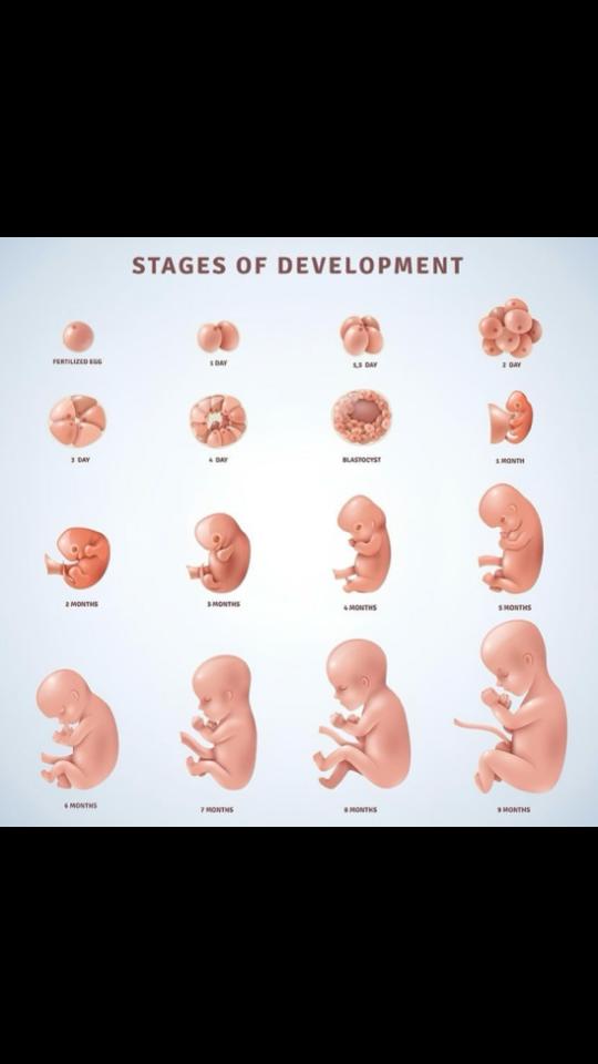 @WindowToTheWomb Ellesmere Port
