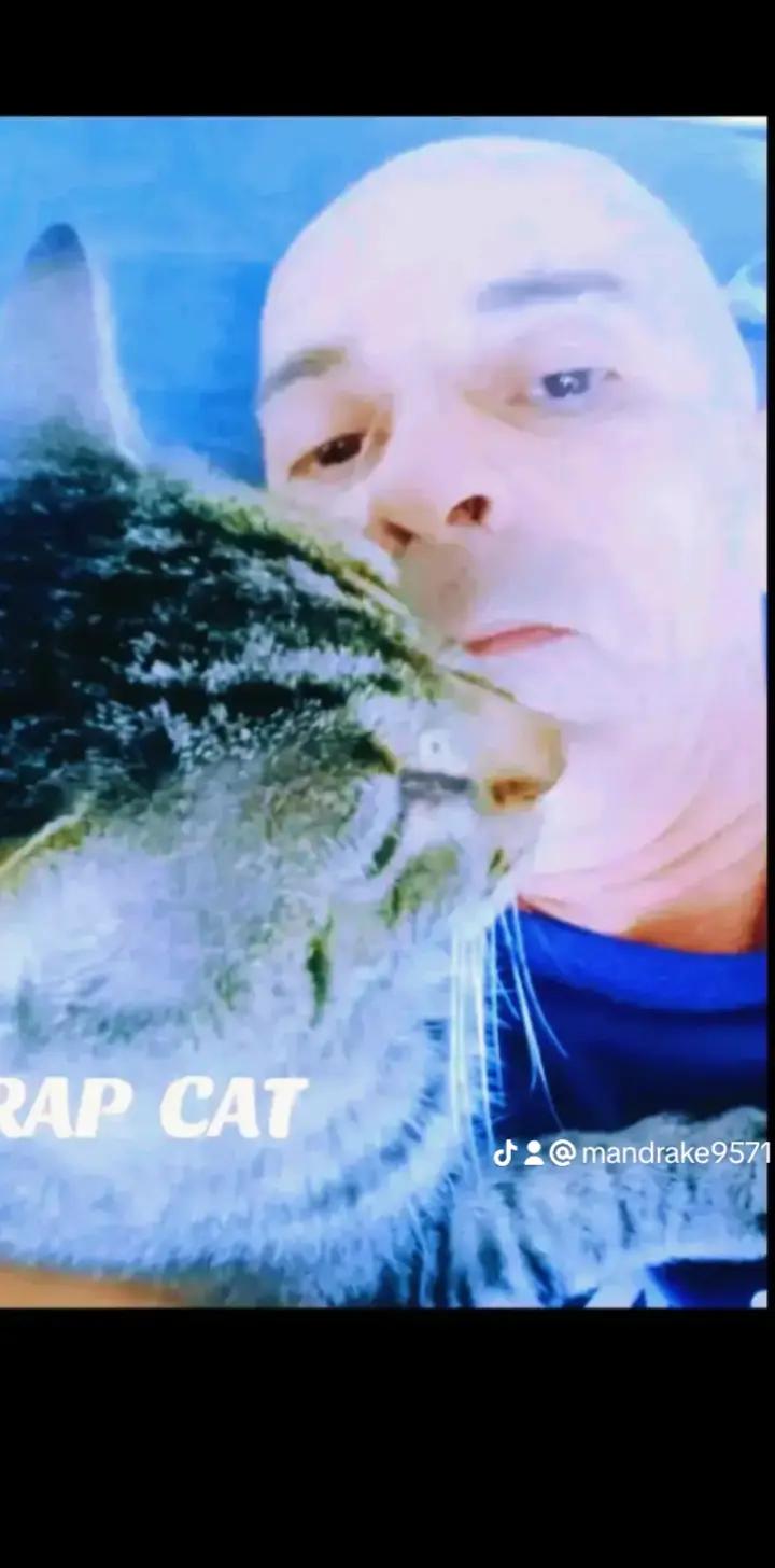 @RAP CAT