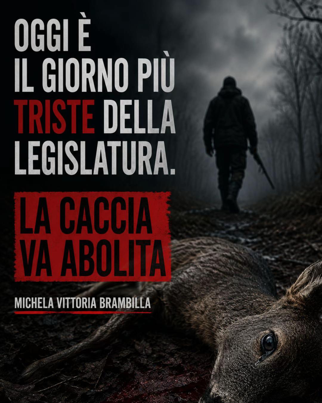 @Michela Vittoria Brambilla
