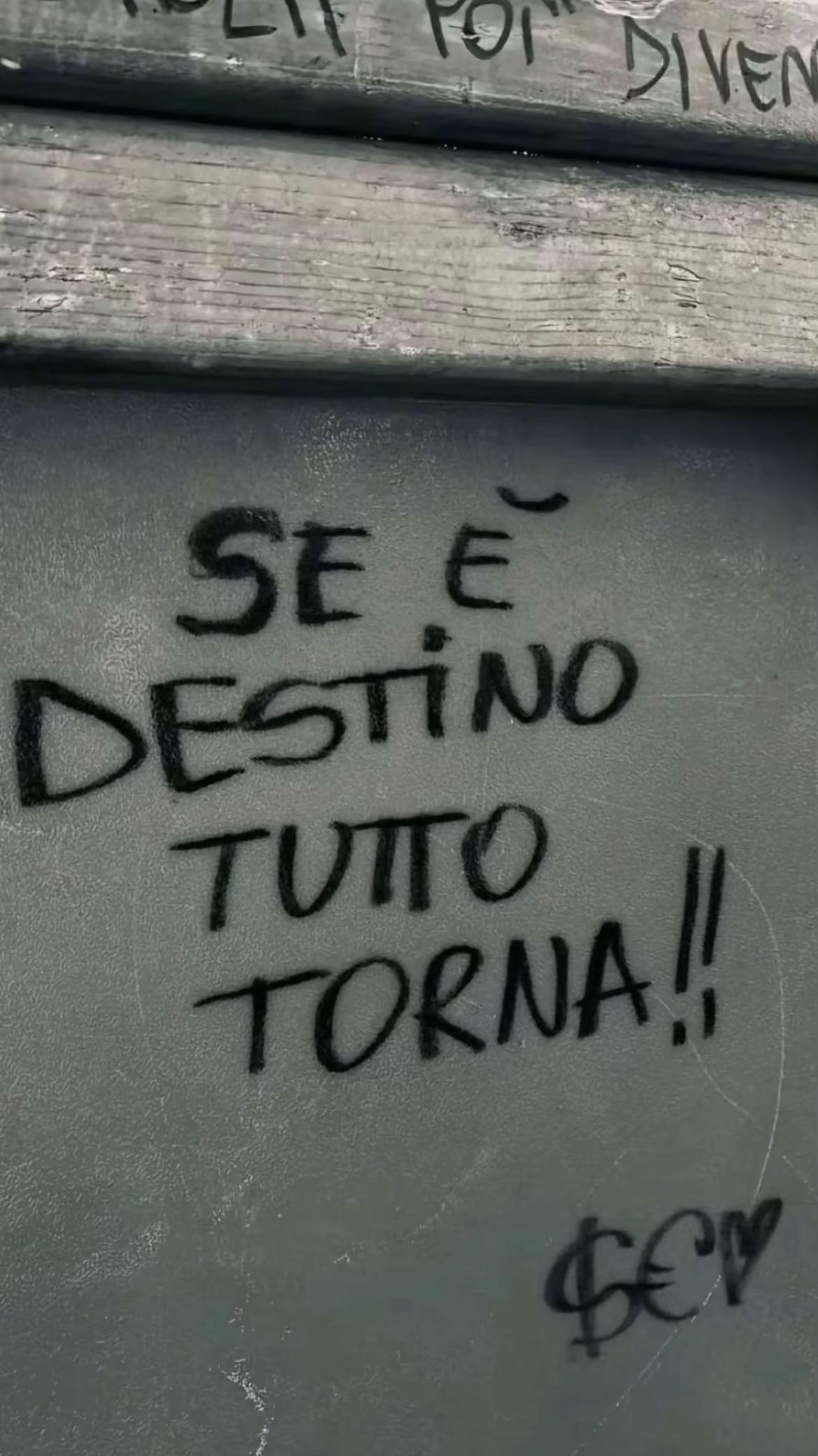 @𝓮𝓵𝓲𝓼𝓪