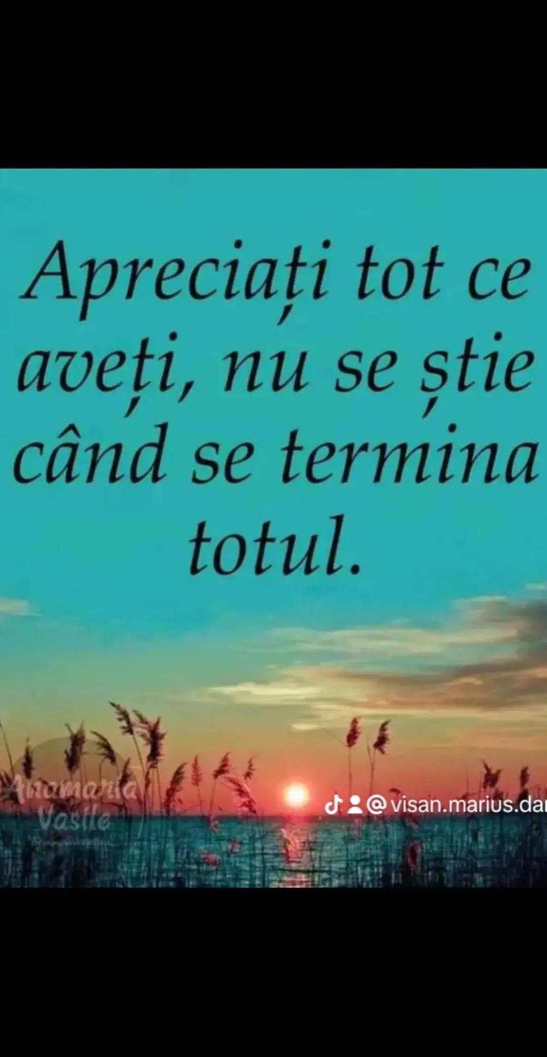@Daniel Zoica