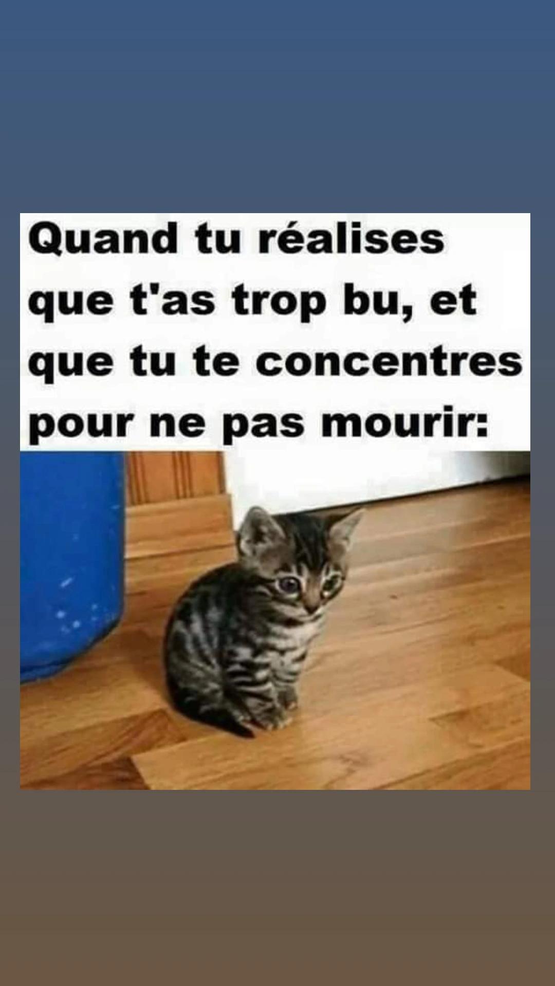 @Tom10j