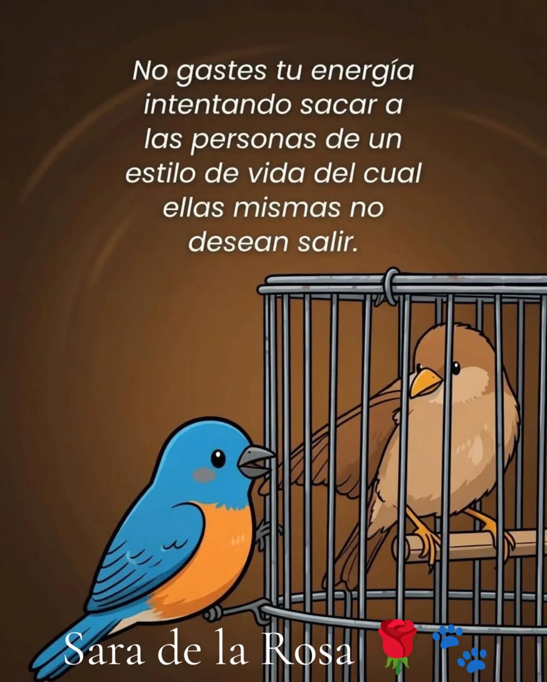 @Chaparrita ☺️❤️🧡💛🩵💙💜2025