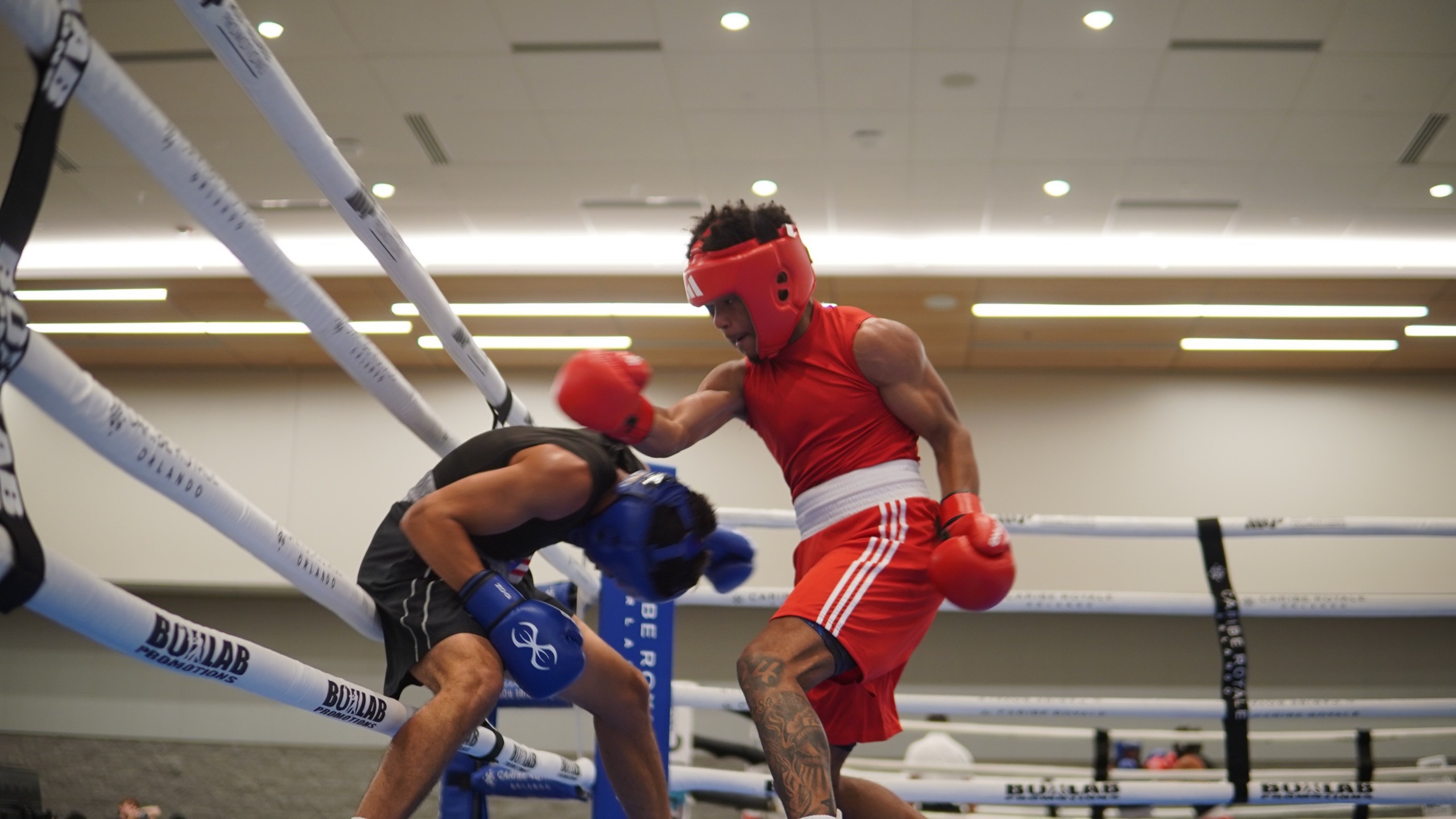 @alanwilliamsboxing