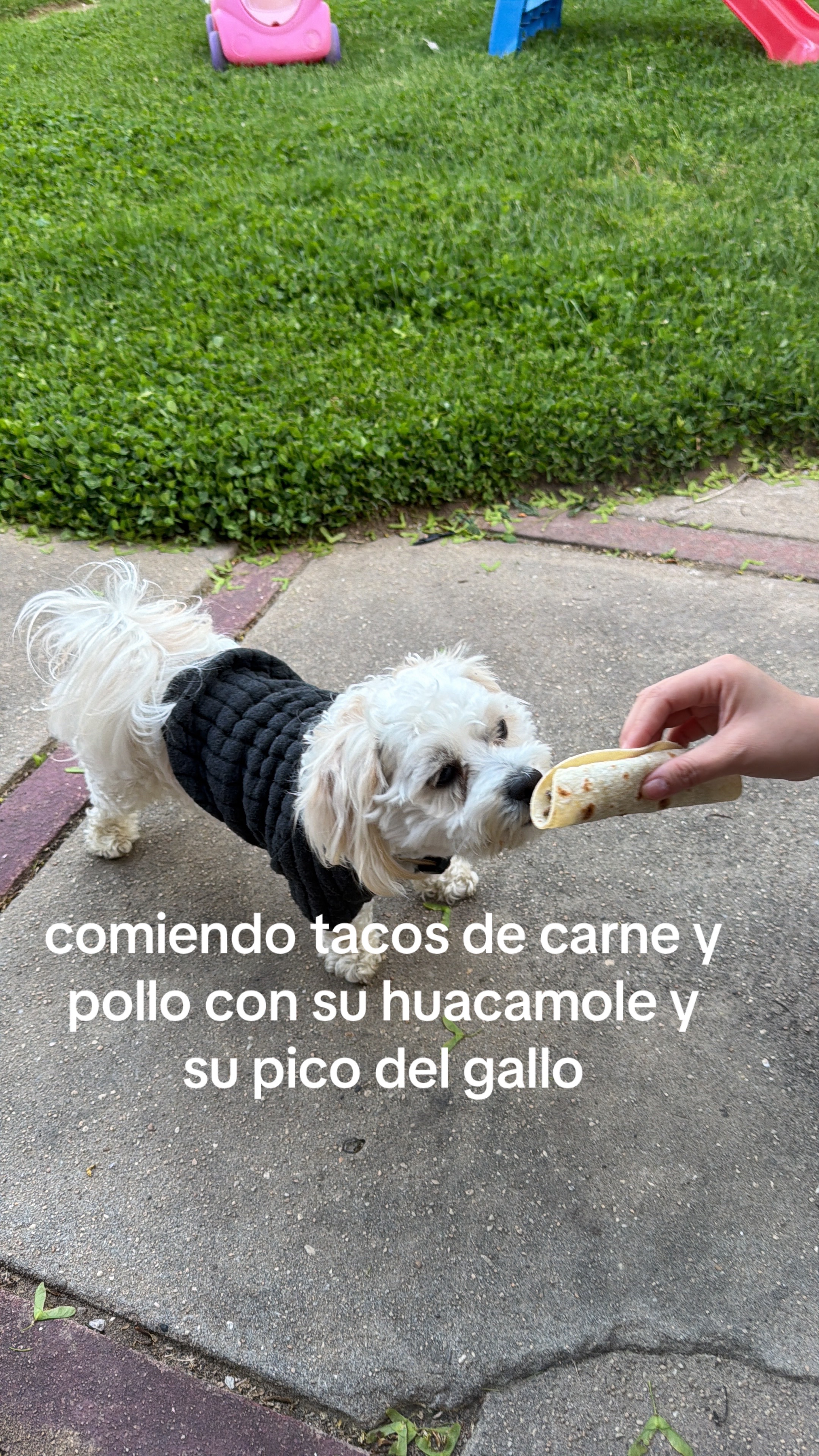 @El Byron