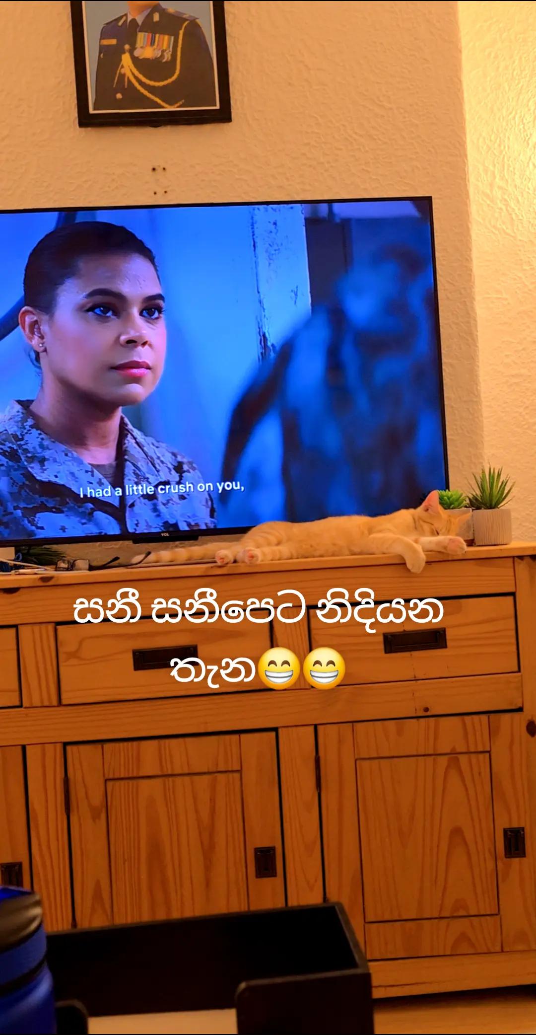 @Nilu Ranaweera 🇬🇧🇱🇰
