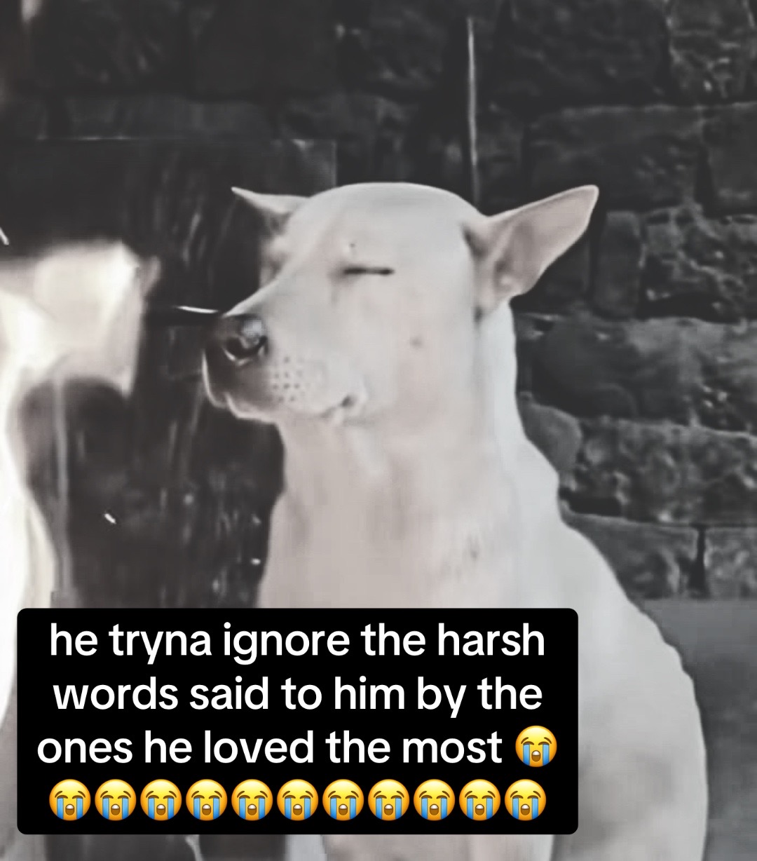 @sekki