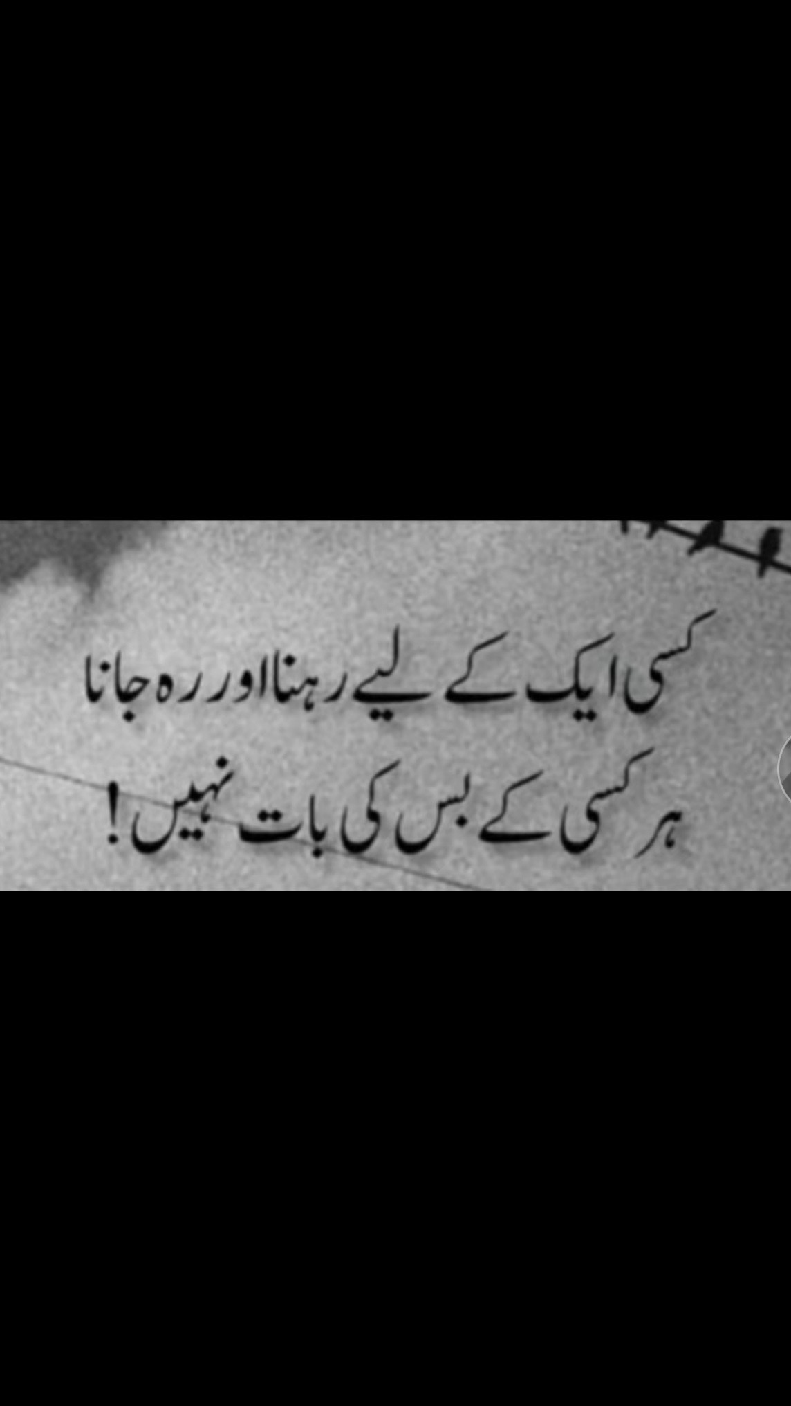 @rafia.sajid5🇬🇧
